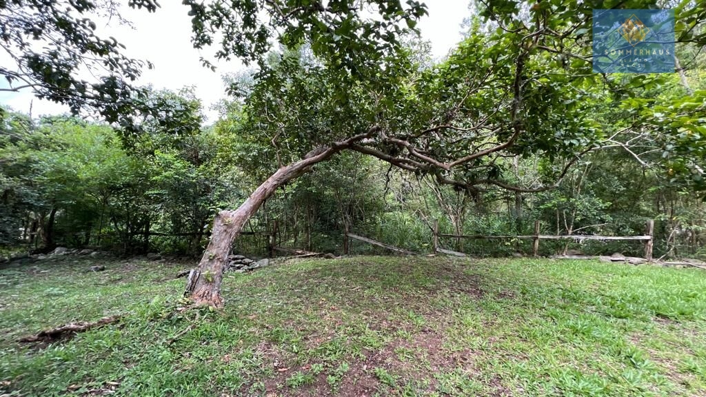 Fazenda à venda, 50000m² - Foto 14