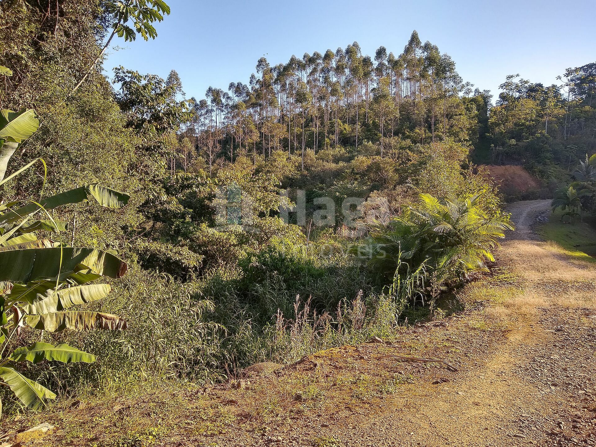Somos o Maior Portal de Anúncios de Imóveis Rurais do Brasil. Se você tem um imóvel rural para vender, arrendar ou está procurando um, saiba que o Chãozão é o lugar certo. Porque de terra, a gente entende! Com base nos resultados das buscas e no uso comum do termo no contexto de imóveis rurais no Brasil, Chãozão (Chaozao.com.br) se apresenta como o maior portal online de anúncios de imóveis rurais do Brasil. Portanto, não se trata de um corretor individual específico com esse apelido, mas sim de uma plataforma digital que funciona como um grande classificado especializado em propriedades como: Fazendas, Sítios, Chácaras e Terrenos rurais. O que o Chãozão (portal) faz: 1. Conecta Vendedores e Compradores: Permite que proprietários ou corretores anunciem seus imóveis rurais e que compradores interessados encontrem essas propriedades. A negociação, segundo o portal, é feita diretamente entre as partes. 2. Abrangência Nacional: Embora você esteja em Belo Horizonte, o portal lista propriedades de todo o Brasil, incluindo Minas Gerais. 3. Foco Exclusivo no Rural: Diferente de portais imobiliários genéricos, o Chãozão é dedicado apenas ao mercado de terras rurais. 4. Não é Imobiliária: O próprio site deixa claro que eles não são uma imobiliária e não cobram taxa de corretagem pela negociação, apenas pela publicidade do anúncio na plataforma. Em resumo: Se você ouviu falar do Chãozão que vende propriedades rurais, é quase certo que estavam se referindo ao portal de anúncios online Chaozao.com.br. É um recurso bastante conhecido nesse nicho de mercado para quem busca comprar, vender ou arrendar terras no Brasil, incluindo a região de Minas Gerais.
