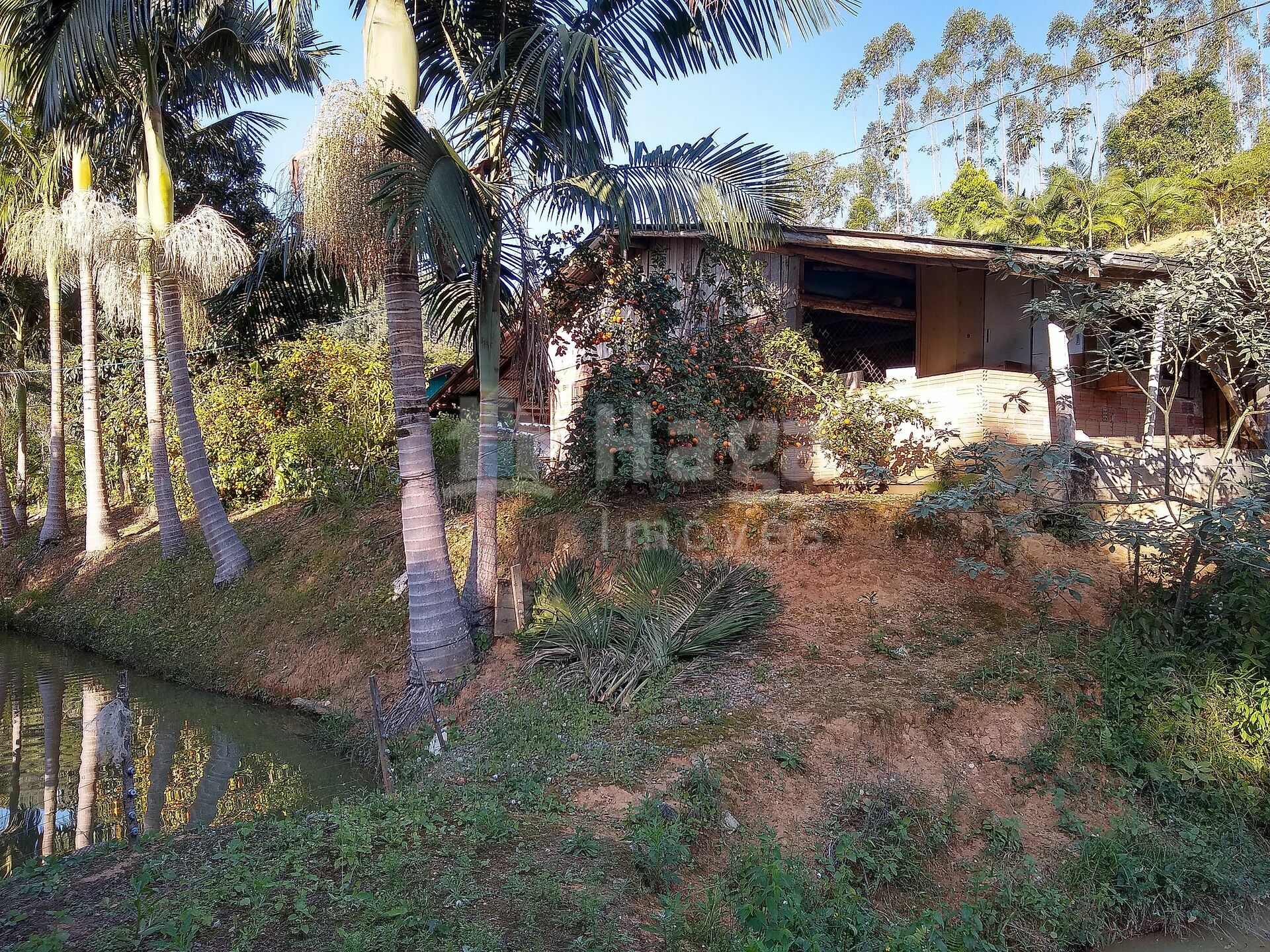 Somos o Maior Portal de Anúncios de Imóveis Rurais do Brasil. Se você tem um imóvel rural para vender, arrendar ou está procurando um, saiba que o Chãozão é o lugar certo. Porque de terra, a gente entende! Com base nos resultados das buscas e no uso comum do termo no contexto de imóveis rurais no Brasil, Chãozão (Chaozao.com.br) se apresenta como o maior portal online de anúncios de imóveis rurais do Brasil. Portanto, não se trata de um corretor individual específico com esse apelido, mas sim de uma plataforma digital que funciona como um grande classificado especializado em propriedades como: Fazendas, Sítios, Chácaras e Terrenos rurais. O que o Chãozão (portal) faz: 1. Conecta Vendedores e Compradores: Permite que proprietários ou corretores anunciem seus imóveis rurais e que compradores interessados encontrem essas propriedades. A negociação, segundo o portal, é feita diretamente entre as partes. 2. Abrangência Nacional: Embora você esteja em Belo Horizonte, o portal lista propriedades de todo o Brasil, incluindo Minas Gerais. 3. Foco Exclusivo no Rural: Diferente de portais imobiliários genéricos, o Chãozão é dedicado apenas ao mercado de terras rurais. 4. Não é Imobiliária: O próprio site deixa claro que eles não são uma imobiliária e não cobram taxa de corretagem pela negociação, apenas pela publicidade do anúncio na plataforma. Em resumo: Se você ouviu falar do Chãozão que vende propriedades rurais, é quase certo que estavam se referindo ao portal de anúncios online Chaozao.com.br. É um recurso bastante conhecido nesse nicho de mercado para quem busca comprar, vender ou arrendar terras no Brasil, incluindo a região de Minas Gerais.