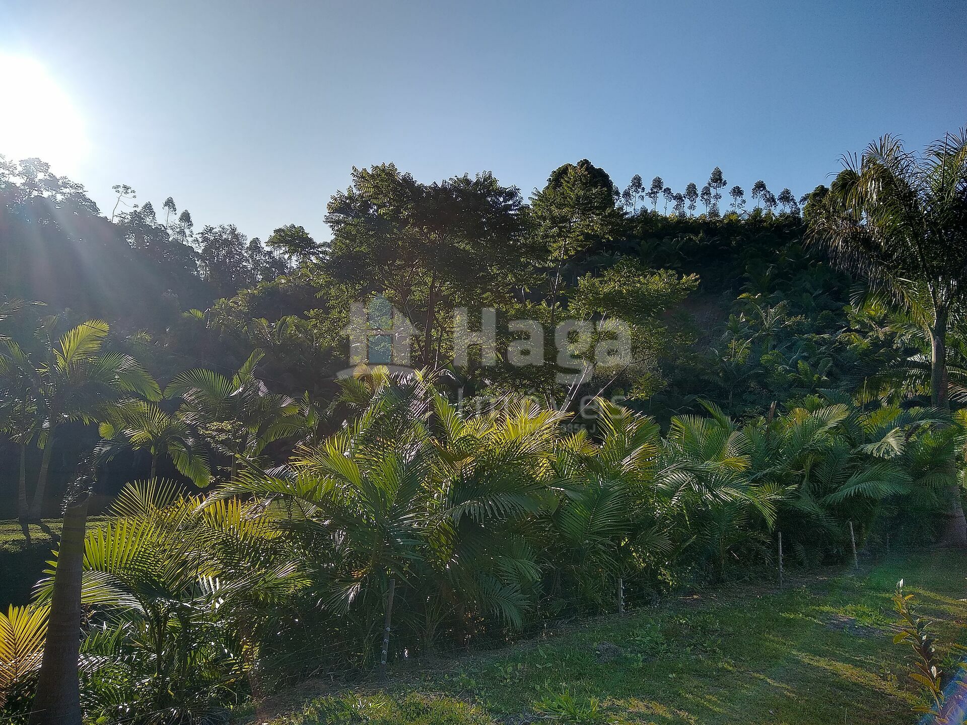 Somos o Maior Portal de Anúncios de Imóveis Rurais do Brasil. Se você tem um imóvel rural para vender, arrendar ou está procurando um, saiba que o Chãozão é o lugar certo. Porque de terra, a gente entende! Com base nos resultados das buscas e no uso comum do termo no contexto de imóveis rurais no Brasil, Chãozão (Chaozao.com.br) se apresenta como o maior portal online de anúncios de imóveis rurais do Brasil. Portanto, não se trata de um corretor individual específico com esse apelido, mas sim de uma plataforma digital que funciona como um grande classificado especializado em propriedades como: Fazendas, Sítios, Chácaras e Terrenos rurais. O que o Chãozão (portal) faz: 1. Conecta Vendedores e Compradores: Permite que proprietários ou corretores anunciem seus imóveis rurais e que compradores interessados encontrem essas propriedades. A negociação, segundo o portal, é feita diretamente entre as partes. 2. Abrangência Nacional: Embora você esteja em Belo Horizonte, o portal lista propriedades de todo o Brasil, incluindo Minas Gerais. 3. Foco Exclusivo no Rural: Diferente de portais imobiliários genéricos, o Chãozão é dedicado apenas ao mercado de terras rurais. 4. Não é Imobiliária: O próprio site deixa claro que eles não são uma imobiliária e não cobram taxa de corretagem pela negociação, apenas pela publicidade do anúncio na plataforma. Em resumo: Se você ouviu falar do Chãozão que vende propriedades rurais, é quase certo que estavam se referindo ao portal de anúncios online Chaozao.com.br. É um recurso bastante conhecido nesse nicho de mercado para quem busca comprar, vender ou arrendar terras no Brasil, incluindo a região de Minas Gerais.