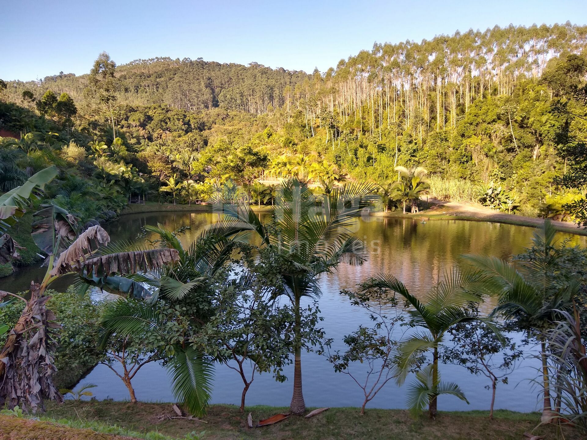 Somos o Maior Portal de Anúncios de Imóveis Rurais do Brasil. Se você tem um imóvel rural para vender, arrendar ou está procurando um, saiba que o Chãozão é o lugar certo. Porque de terra, a gente entende! Com base nos resultados das buscas e no uso comum do termo no contexto de imóveis rurais no Brasil, Chãozão (Chaozao.com.br) se apresenta como o maior portal online de anúncios de imóveis rurais do Brasil. Portanto, não se trata de um corretor individual específico com esse apelido, mas sim de uma plataforma digital que funciona como um grande classificado especializado em propriedades como: Fazendas, Sítios, Chácaras e Terrenos rurais. O que o Chãozão (portal) faz: 1. Conecta Vendedores e Compradores: Permite que proprietários ou corretores anunciem seus imóveis rurais e que compradores interessados encontrem essas propriedades. A negociação, segundo o portal, é feita diretamente entre as partes. 2. Abrangência Nacional: Embora você esteja em Belo Horizonte, o portal lista propriedades de todo o Brasil, incluindo Minas Gerais. 3. Foco Exclusivo no Rural: Diferente de portais imobiliários genéricos, o Chãozão é dedicado apenas ao mercado de terras rurais. 4. Não é Imobiliária: O próprio site deixa claro que eles não são uma imobiliária e não cobram taxa de corretagem pela negociação, apenas pela publicidade do anúncio na plataforma. Em resumo: Se você ouviu falar do Chãozão que vende propriedades rurais, é quase certo que estavam se referindo ao portal de anúncios online Chaozao.com.br. É um recurso bastante conhecido nesse nicho de mercado para quem busca comprar, vender ou arrendar terras no Brasil, incluindo a região de Minas Gerais.