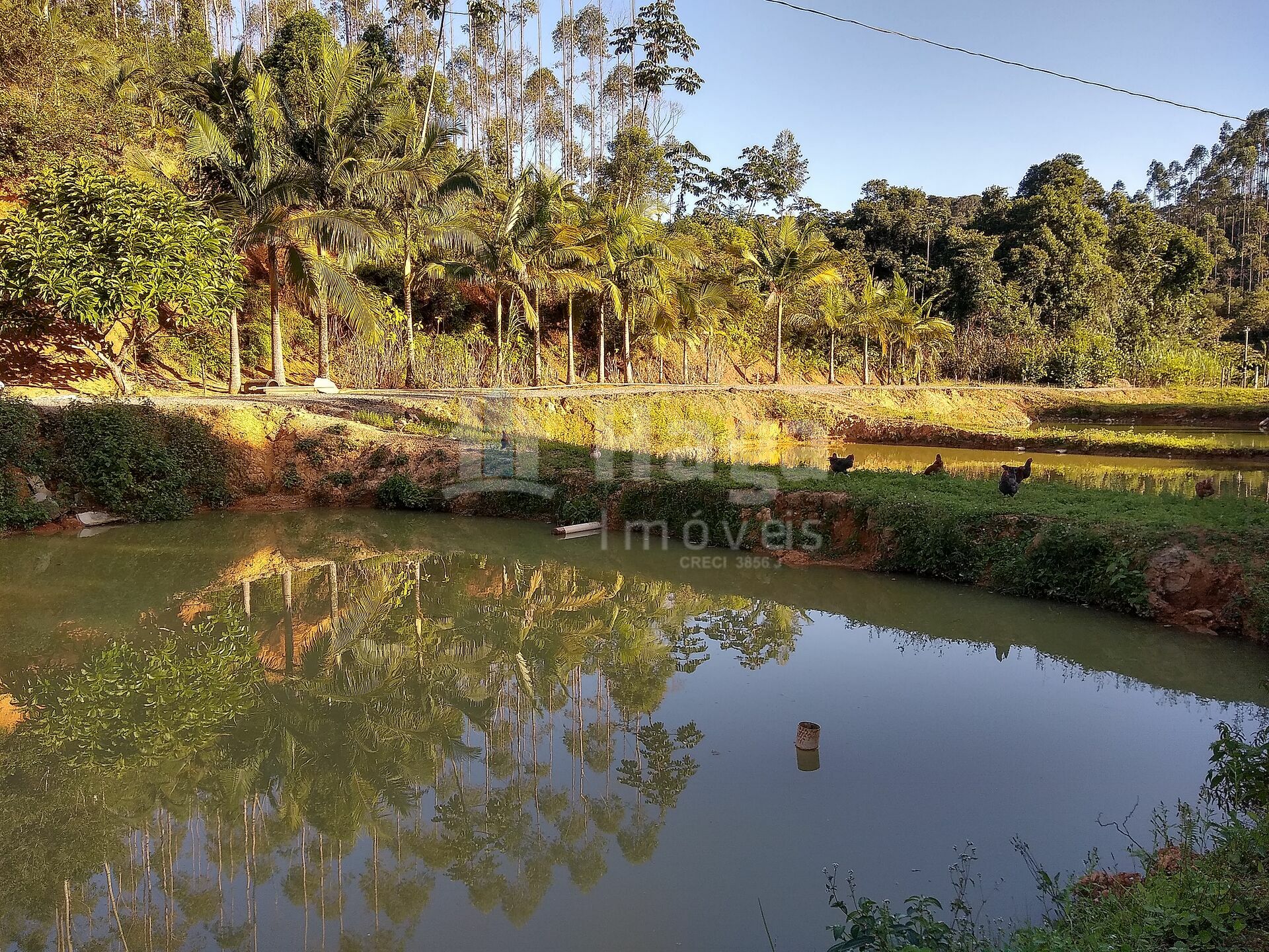 Somos o Maior Portal de Anúncios de Imóveis Rurais do Brasil. Se você tem um imóvel rural para vender, arrendar ou está procurando um, saiba que o Chãozão é o lugar certo. Porque de terra, a gente entende! Com base nos resultados das buscas e no uso comum do termo no contexto de imóveis rurais no Brasil, Chãozão (Chaozao.com.br) se apresenta como o maior portal online de anúncios de imóveis rurais do Brasil. Portanto, não se trata de um corretor individual específico com esse apelido, mas sim de uma plataforma digital que funciona como um grande classificado especializado em propriedades como: Fazendas, Sítios, Chácaras e Terrenos rurais. O que o Chãozão (portal) faz: 1. Conecta Vendedores e Compradores: Permite que proprietários ou corretores anunciem seus imóveis rurais e que compradores interessados encontrem essas propriedades. A negociação, segundo o portal, é feita diretamente entre as partes. 2. Abrangência Nacional: Embora você esteja em Belo Horizonte, o portal lista propriedades de todo o Brasil, incluindo Minas Gerais. 3. Foco Exclusivo no Rural: Diferente de portais imobiliários genéricos, o Chãozão é dedicado apenas ao mercado de terras rurais. 4. Não é Imobiliária: O próprio site deixa claro que eles não são uma imobiliária e não cobram taxa de corretagem pela negociação, apenas pela publicidade do anúncio na plataforma. Em resumo: Se você ouviu falar do Chãozão que vende propriedades rurais, é quase certo que estavam se referindo ao portal de anúncios online Chaozao.com.br. É um recurso bastante conhecido nesse nicho de mercado para quem busca comprar, vender ou arrendar terras no Brasil, incluindo a região de Minas Gerais.