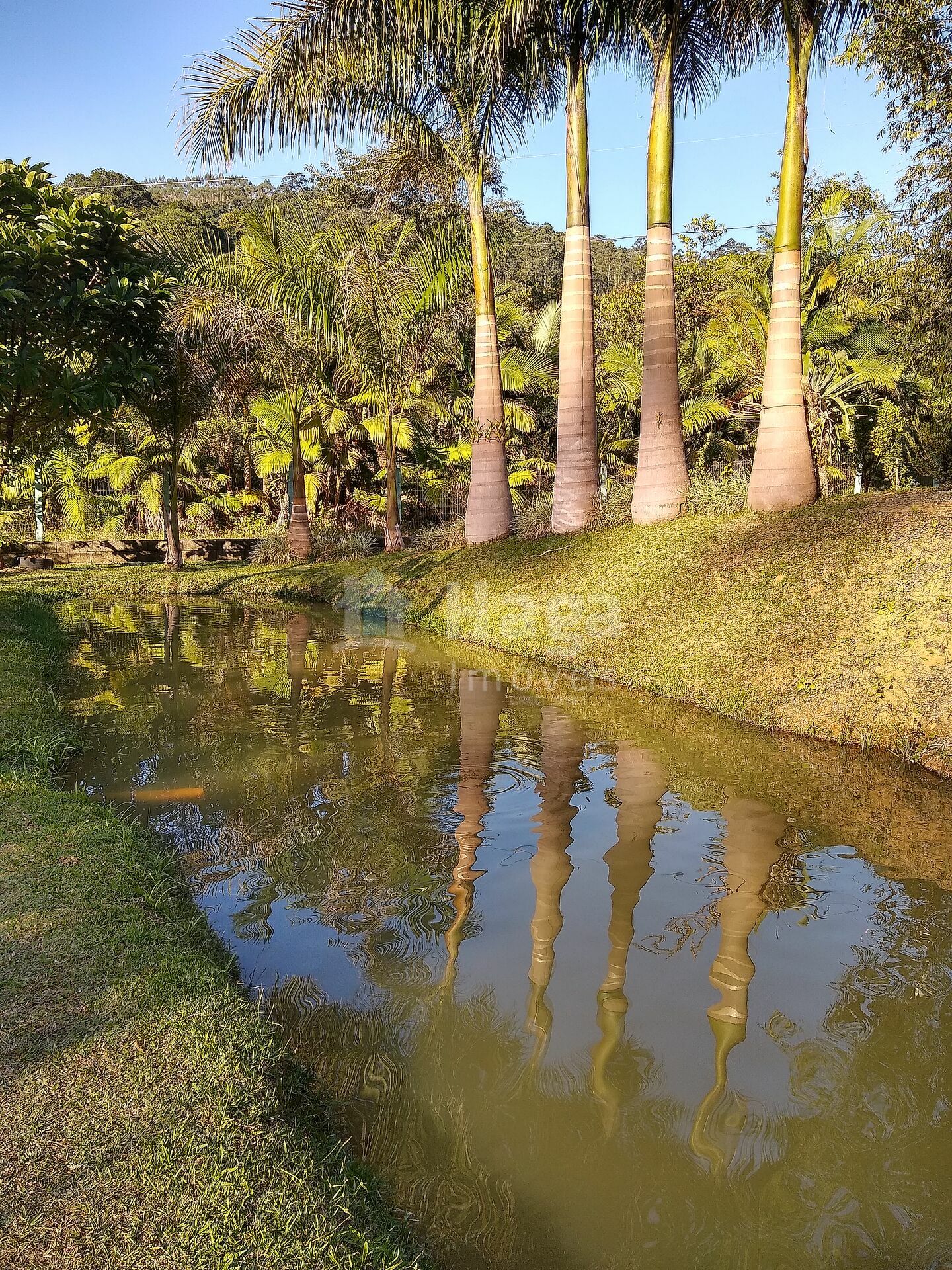 Somos o Maior Portal de Anúncios de Imóveis Rurais do Brasil. Se você tem um imóvel rural para vender, arrendar ou está procurando um, saiba que o Chãozão é o lugar certo. Porque de terra, a gente entende! Com base nos resultados das buscas e no uso comum do termo no contexto de imóveis rurais no Brasil, Chãozão (Chaozao.com.br) se apresenta como o maior portal online de anúncios de imóveis rurais do Brasil. Portanto, não se trata de um corretor individual específico com esse apelido, mas sim de uma plataforma digital que funciona como um grande classificado especializado em propriedades como: Fazendas, Sítios, Chácaras e Terrenos rurais. O que o Chãozão (portal) faz: 1. Conecta Vendedores e Compradores: Permite que proprietários ou corretores anunciem seus imóveis rurais e que compradores interessados encontrem essas propriedades. A negociação, segundo o portal, é feita diretamente entre as partes. 2. Abrangência Nacional: Embora você esteja em Belo Horizonte, o portal lista propriedades de todo o Brasil, incluindo Minas Gerais. 3. Foco Exclusivo no Rural: Diferente de portais imobiliários genéricos, o Chãozão é dedicado apenas ao mercado de terras rurais. 4. Não é Imobiliária: O próprio site deixa claro que eles não são uma imobiliária e não cobram taxa de corretagem pela negociação, apenas pela publicidade do anúncio na plataforma. Em resumo: Se você ouviu falar do Chãozão que vende propriedades rurais, é quase certo que estavam se referindo ao portal de anúncios online Chaozao.com.br. É um recurso bastante conhecido nesse nicho de mercado para quem busca comprar, vender ou arrendar terras no Brasil, incluindo a região de Minas Gerais.