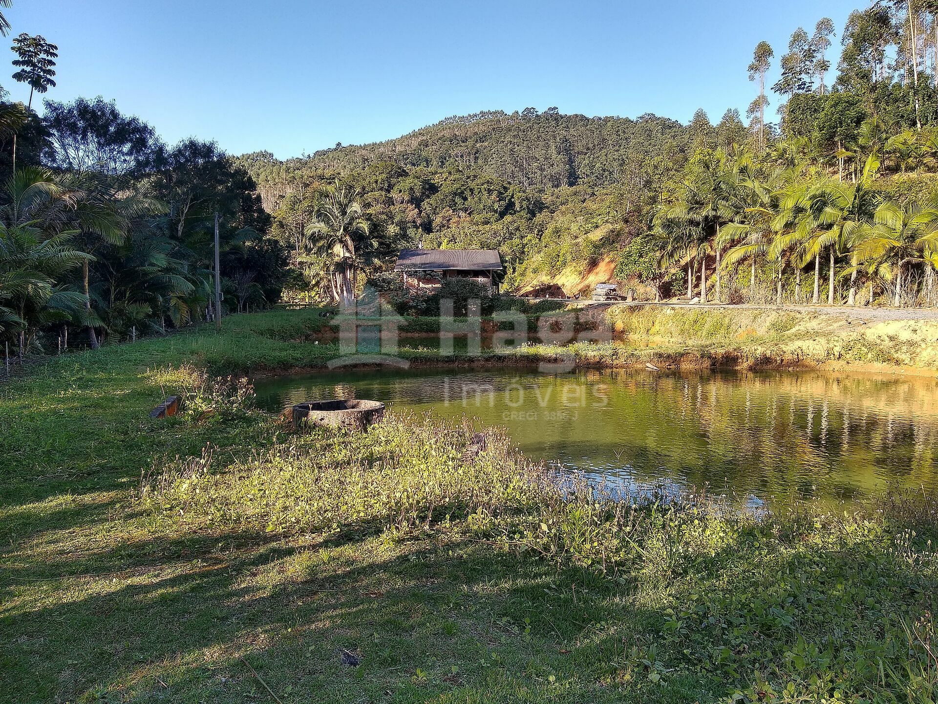 Somos o Maior Portal de Anúncios de Imóveis Rurais do Brasil. Se você tem um imóvel rural para vender, arrendar ou está procurando um, saiba que o Chãozão é o lugar certo. Porque de terra, a gente entende! Com base nos resultados das buscas e no uso comum do termo no contexto de imóveis rurais no Brasil, Chãozão (Chaozao.com.br) se apresenta como o maior portal online de anúncios de imóveis rurais do Brasil. Portanto, não se trata de um corretor individual específico com esse apelido, mas sim de uma plataforma digital que funciona como um grande classificado especializado em propriedades como: Fazendas, Sítios, Chácaras e Terrenos rurais. O que o Chãozão (portal) faz: 1. Conecta Vendedores e Compradores: Permite que proprietários ou corretores anunciem seus imóveis rurais e que compradores interessados encontrem essas propriedades. A negociação, segundo o portal, é feita diretamente entre as partes. 2. Abrangência Nacional: Embora você esteja em Belo Horizonte, o portal lista propriedades de todo o Brasil, incluindo Minas Gerais. 3. Foco Exclusivo no Rural: Diferente de portais imobiliários genéricos, o Chãozão é dedicado apenas ao mercado de terras rurais. 4. Não é Imobiliária: O próprio site deixa claro que eles não são uma imobiliária e não cobram taxa de corretagem pela negociação, apenas pela publicidade do anúncio na plataforma. Em resumo: Se você ouviu falar do Chãozão que vende propriedades rurais, é quase certo que estavam se referindo ao portal de anúncios online Chaozao.com.br. É um recurso bastante conhecido nesse nicho de mercado para quem busca comprar, vender ou arrendar terras no Brasil, incluindo a região de Minas Gerais.