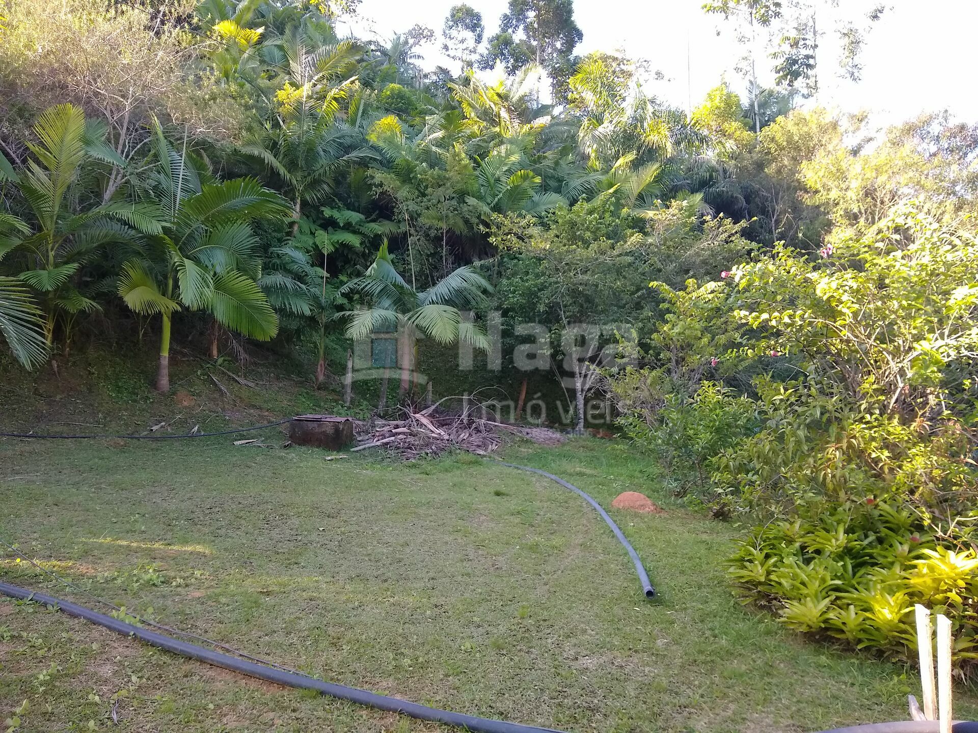 Somos o Maior Portal de Anúncios de Imóveis Rurais do Brasil. Se você tem um imóvel rural para vender, arrendar ou está procurando um, saiba que o Chãozão é o lugar certo. Porque de terra, a gente entende! Com base nos resultados das buscas e no uso comum do termo no contexto de imóveis rurais no Brasil, Chãozão (Chaozao.com.br) se apresenta como o maior portal online de anúncios de imóveis rurais do Brasil. Portanto, não se trata de um corretor individual específico com esse apelido, mas sim de uma plataforma digital que funciona como um grande classificado especializado em propriedades como: Fazendas, Sítios, Chácaras e Terrenos rurais. O que o Chãozão (portal) faz: 1. Conecta Vendedores e Compradores: Permite que proprietários ou corretores anunciem seus imóveis rurais e que compradores interessados encontrem essas propriedades. A negociação, segundo o portal, é feita diretamente entre as partes. 2. Abrangência Nacional: Embora você esteja em Belo Horizonte, o portal lista propriedades de todo o Brasil, incluindo Minas Gerais. 3. Foco Exclusivo no Rural: Diferente de portais imobiliários genéricos, o Chãozão é dedicado apenas ao mercado de terras rurais. 4. Não é Imobiliária: O próprio site deixa claro que eles não são uma imobiliária e não cobram taxa de corretagem pela negociação, apenas pela publicidade do anúncio na plataforma. Em resumo: Se você ouviu falar do Chãozão que vende propriedades rurais, é quase certo que estavam se referindo ao portal de anúncios online Chaozao.com.br. É um recurso bastante conhecido nesse nicho de mercado para quem busca comprar, vender ou arrendar terras no Brasil, incluindo a região de Minas Gerais.
