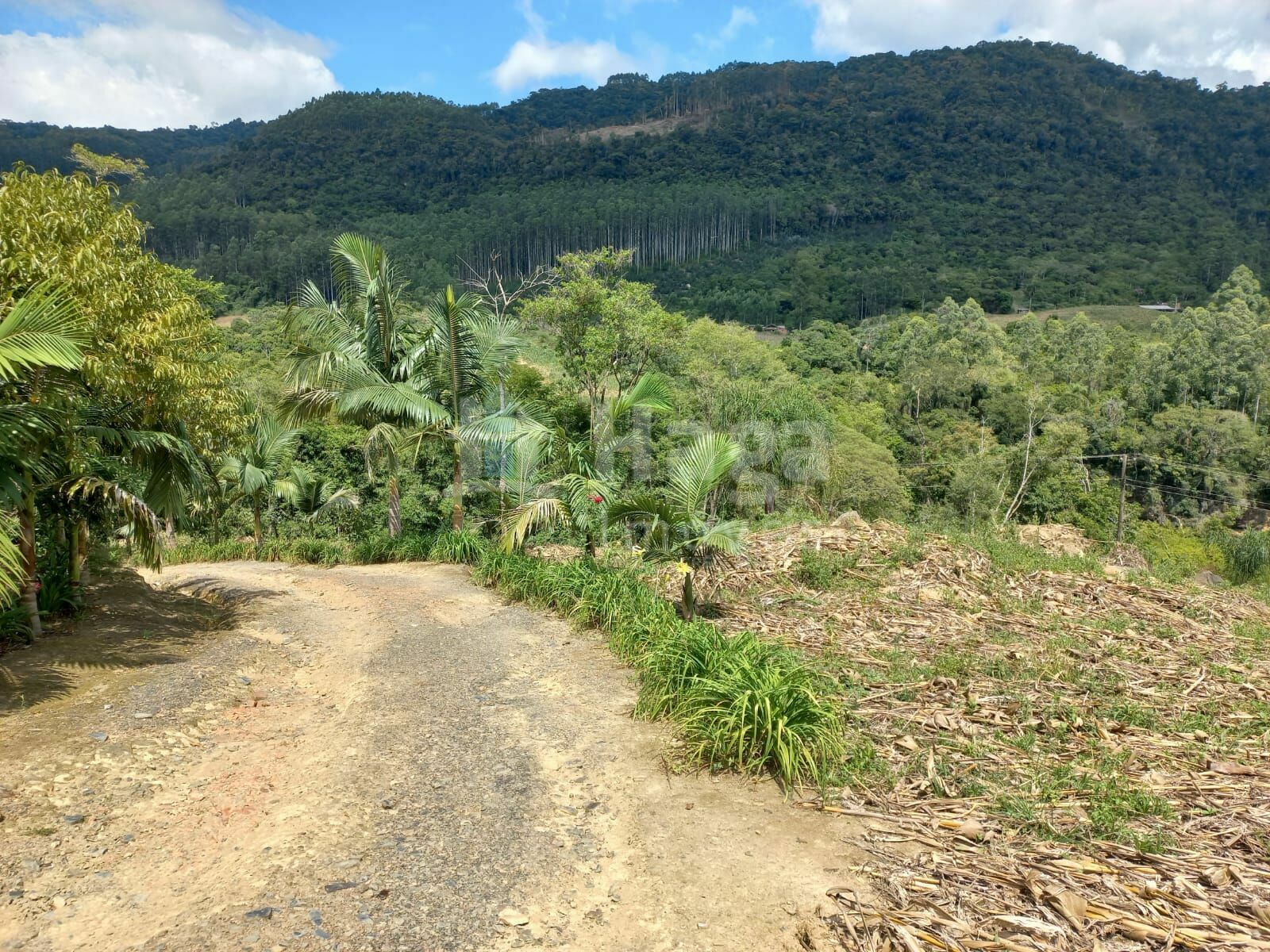 Somos o Maior Portal de Anúncios de Imóveis Rurais do Brasil. Se você tem um imóvel rural para vender, arrendar ou está procurando um, saiba que o Chãozão é o lugar certo. Porque de terra, a gente entende! Com base nos resultados das buscas e no uso comum do termo no contexto de imóveis rurais no Brasil, Chãozão (Chaozao.com.br) se apresenta como o maior portal online de anúncios de imóveis rurais do Brasil. Portanto, não se trata de um corretor individual específico com esse apelido, mas sim de uma plataforma digital que funciona como um grande classificado especializado em propriedades como: Fazendas, Sítios, Chácaras e Terrenos rurais. O que o Chãozão (portal) faz: 1. Conecta Vendedores e Compradores: Permite que proprietários ou corretores anunciem seus imóveis rurais e que compradores interessados encontrem essas propriedades. A negociação, segundo o portal, é feita diretamente entre as partes. 2. Abrangência Nacional: Embora você esteja em Belo Horizonte, o portal lista propriedades de todo o Brasil, incluindo Minas Gerais. 3. Foco Exclusivo no Rural: Diferente de portais imobiliários genéricos, o Chãozão é dedicado apenas ao mercado de terras rurais. 4. Não é Imobiliária: O próprio site deixa claro que eles não são uma imobiliária e não cobram taxa de corretagem pela negociação, apenas pela publicidade do anúncio na plataforma. Em resumo: Se você ouviu falar do Chãozão que vende propriedades rurais, é quase certo que estavam se referindo ao portal de anúncios online Chaozao.com.br. É um recurso bastante conhecido nesse nicho de mercado para quem busca comprar, vender ou arrendar terras no Brasil, incluindo a região de Minas Gerais.