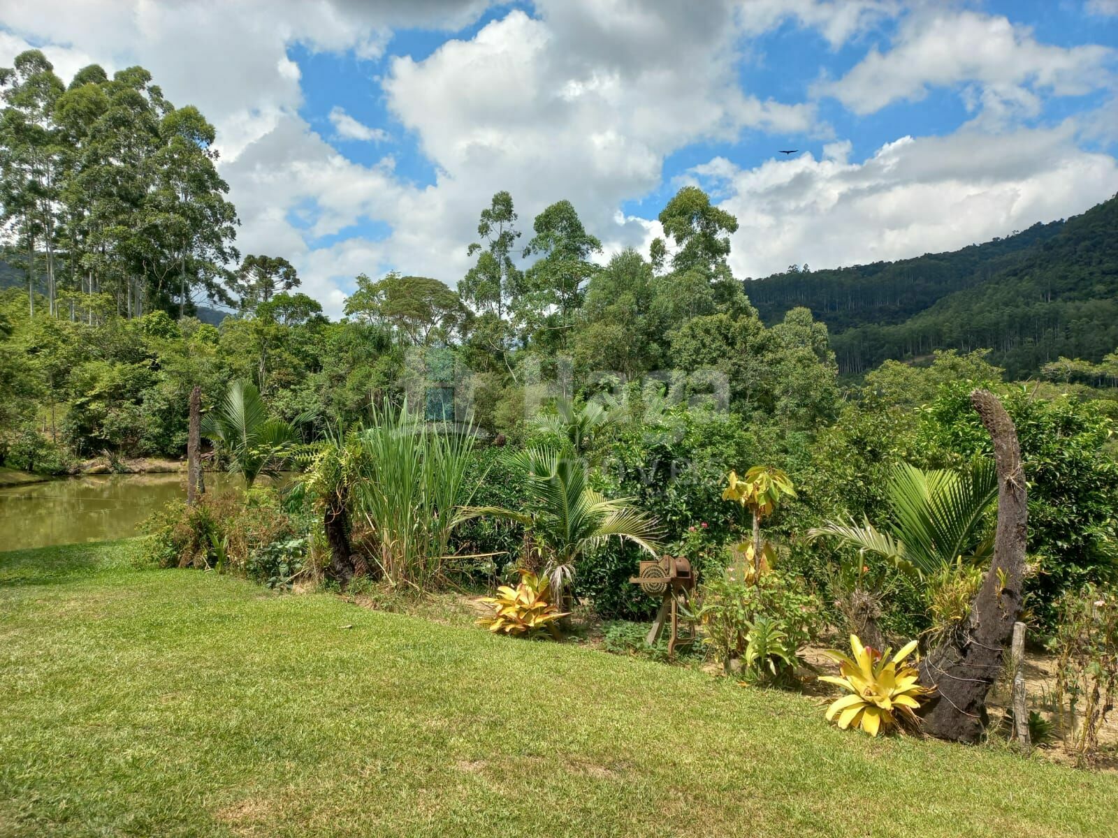 Somos o Maior Portal de Anúncios de Imóveis Rurais do Brasil. Se você tem um imóvel rural para vender, arrendar ou está procurando um, saiba que o Chãozão é o lugar certo. Porque de terra, a gente entende! Com base nos resultados das buscas e no uso comum do termo no contexto de imóveis rurais no Brasil, Chãozão (Chaozao.com.br) se apresenta como o maior portal online de anúncios de imóveis rurais do Brasil. Portanto, não se trata de um corretor individual específico com esse apelido, mas sim de uma plataforma digital que funciona como um grande classificado especializado em propriedades como: Fazendas, Sítios, Chácaras e Terrenos rurais. O que o Chãozão (portal) faz: 1. Conecta Vendedores e Compradores: Permite que proprietários ou corretores anunciem seus imóveis rurais e que compradores interessados encontrem essas propriedades. A negociação, segundo o portal, é feita diretamente entre as partes. 2. Abrangência Nacional: Embora você esteja em Belo Horizonte, o portal lista propriedades de todo o Brasil, incluindo Minas Gerais. 3. Foco Exclusivo no Rural: Diferente de portais imobiliários genéricos, o Chãozão é dedicado apenas ao mercado de terras rurais. 4. Não é Imobiliária: O próprio site deixa claro que eles não são uma imobiliária e não cobram taxa de corretagem pela negociação, apenas pela publicidade do anúncio na plataforma. Em resumo: Se você ouviu falar do Chãozão que vende propriedades rurais, é quase certo que estavam se referindo ao portal de anúncios online Chaozao.com.br. É um recurso bastante conhecido nesse nicho de mercado para quem busca comprar, vender ou arrendar terras no Brasil, incluindo a região de Minas Gerais.