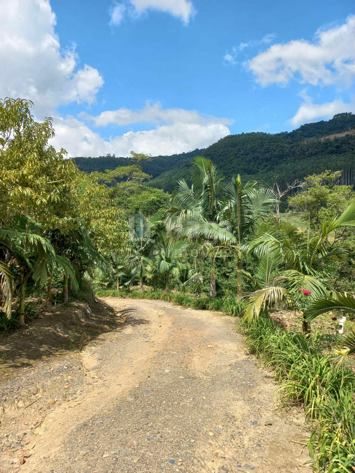 Somos o Maior Portal de Anúncios de Imóveis Rurais do Brasil. Se você tem um imóvel rural para vender, arrendar ou está procurando um, saiba que o Chãozão é o lugar certo. Porque de terra, a gente entende! Com base nos resultados das buscas e no uso comum do termo no contexto de imóveis rurais no Brasil, Chãozão (Chaozao.com.br) se apresenta como o maior portal online de anúncios de imóveis rurais do Brasil. Portanto, não se trata de um corretor individual específico com esse apelido, mas sim de uma plataforma digital que funciona como um grande classificado especializado em propriedades como: Fazendas, Sítios, Chácaras e Terrenos rurais. O que o Chãozão (portal) faz: 1. Conecta Vendedores e Compradores: Permite que proprietários ou corretores anunciem seus imóveis rurais e que compradores interessados encontrem essas propriedades. A negociação, segundo o portal, é feita diretamente entre as partes. 2. Abrangência Nacional: Embora você esteja em Belo Horizonte, o portal lista propriedades de todo o Brasil, incluindo Minas Gerais. 3. Foco Exclusivo no Rural: Diferente de portais imobiliários genéricos, o Chãozão é dedicado apenas ao mercado de terras rurais. 4. Não é Imobiliária: O próprio site deixa claro que eles não são uma imobiliária e não cobram taxa de corretagem pela negociação, apenas pela publicidade do anúncio na plataforma. Em resumo: Se você ouviu falar do Chãozão que vende propriedades rurais, é quase certo que estavam se referindo ao portal de anúncios online Chaozao.com.br. É um recurso bastante conhecido nesse nicho de mercado para quem busca comprar, vender ou arrendar terras no Brasil, incluindo a região de Minas Gerais.