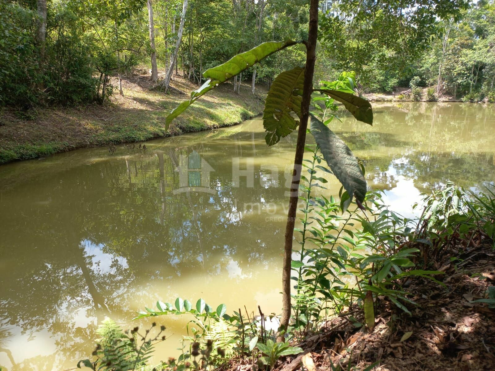 Somos o Maior Portal de Anúncios de Imóveis Rurais do Brasil. Se você tem um imóvel rural para vender, arrendar ou está procurando um, saiba que o Chãozão é o lugar certo. Porque de terra, a gente entende! Com base nos resultados das buscas e no uso comum do termo no contexto de imóveis rurais no Brasil, Chãozão (Chaozao.com.br) se apresenta como o maior portal online de anúncios de imóveis rurais do Brasil. Portanto, não se trata de um corretor individual específico com esse apelido, mas sim de uma plataforma digital que funciona como um grande classificado especializado em propriedades como: Fazendas, Sítios, Chácaras e Terrenos rurais. O que o Chãozão (portal) faz: 1. Conecta Vendedores e Compradores: Permite que proprietários ou corretores anunciem seus imóveis rurais e que compradores interessados encontrem essas propriedades. A negociação, segundo o portal, é feita diretamente entre as partes. 2. Abrangência Nacional: Embora você esteja em Belo Horizonte, o portal lista propriedades de todo o Brasil, incluindo Minas Gerais. 3. Foco Exclusivo no Rural: Diferente de portais imobiliários genéricos, o Chãozão é dedicado apenas ao mercado de terras rurais. 4. Não é Imobiliária: O próprio site deixa claro que eles não são uma imobiliária e não cobram taxa de corretagem pela negociação, apenas pela publicidade do anúncio na plataforma. Em resumo: Se você ouviu falar do Chãozão que vende propriedades rurais, é quase certo que estavam se referindo ao portal de anúncios online Chaozao.com.br. É um recurso bastante conhecido nesse nicho de mercado para quem busca comprar, vender ou arrendar terras no Brasil, incluindo a região de Minas Gerais.