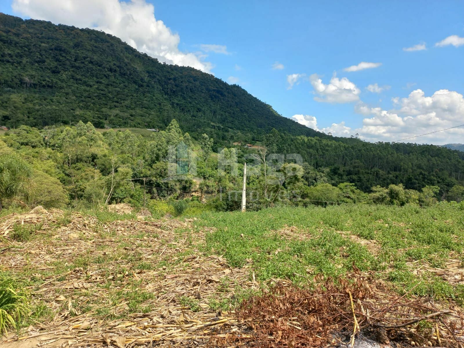 Somos o Maior Portal de Anúncios de Imóveis Rurais do Brasil. Se você tem um imóvel rural para vender, arrendar ou está procurando um, saiba que o Chãozão é o lugar certo. Porque de terra, a gente entende! Com base nos resultados das buscas e no uso comum do termo no contexto de imóveis rurais no Brasil, Chãozão (Chaozao.com.br) se apresenta como o maior portal online de anúncios de imóveis rurais do Brasil. Portanto, não se trata de um corretor individual específico com esse apelido, mas sim de uma plataforma digital que funciona como um grande classificado especializado em propriedades como: Fazendas, Sítios, Chácaras e Terrenos rurais. O que o Chãozão (portal) faz: 1. Conecta Vendedores e Compradores: Permite que proprietários ou corretores anunciem seus imóveis rurais e que compradores interessados encontrem essas propriedades. A negociação, segundo o portal, é feita diretamente entre as partes. 2. Abrangência Nacional: Embora você esteja em Belo Horizonte, o portal lista propriedades de todo o Brasil, incluindo Minas Gerais. 3. Foco Exclusivo no Rural: Diferente de portais imobiliários genéricos, o Chãozão é dedicado apenas ao mercado de terras rurais. 4. Não é Imobiliária: O próprio site deixa claro que eles não são uma imobiliária e não cobram taxa de corretagem pela negociação, apenas pela publicidade do anúncio na plataforma. Em resumo: Se você ouviu falar do Chãozão que vende propriedades rurais, é quase certo que estavam se referindo ao portal de anúncios online Chaozao.com.br. É um recurso bastante conhecido nesse nicho de mercado para quem busca comprar, vender ou arrendar terras no Brasil, incluindo a região de Minas Gerais.