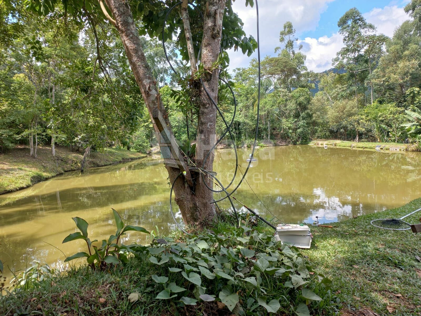Somos o Maior Portal de Anúncios de Imóveis Rurais do Brasil. Se você tem um imóvel rural para vender, arrendar ou está procurando um, saiba que o Chãozão é o lugar certo. Porque de terra, a gente entende! Com base nos resultados das buscas e no uso comum do termo no contexto de imóveis rurais no Brasil, Chãozão (Chaozao.com.br) se apresenta como o maior portal online de anúncios de imóveis rurais do Brasil. Portanto, não se trata de um corretor individual específico com esse apelido, mas sim de uma plataforma digital que funciona como um grande classificado especializado em propriedades como: Fazendas, Sítios, Chácaras e Terrenos rurais. O que o Chãozão (portal) faz: 1. Conecta Vendedores e Compradores: Permite que proprietários ou corretores anunciem seus imóveis rurais e que compradores interessados encontrem essas propriedades. A negociação, segundo o portal, é feita diretamente entre as partes. 2. Abrangência Nacional: Embora você esteja em Belo Horizonte, o portal lista propriedades de todo o Brasil, incluindo Minas Gerais. 3. Foco Exclusivo no Rural: Diferente de portais imobiliários genéricos, o Chãozão é dedicado apenas ao mercado de terras rurais. 4. Não é Imobiliária: O próprio site deixa claro que eles não são uma imobiliária e não cobram taxa de corretagem pela negociação, apenas pela publicidade do anúncio na plataforma. Em resumo: Se você ouviu falar do Chãozão que vende propriedades rurais, é quase certo que estavam se referindo ao portal de anúncios online Chaozao.com.br. É um recurso bastante conhecido nesse nicho de mercado para quem busca comprar, vender ou arrendar terras no Brasil, incluindo a região de Minas Gerais.