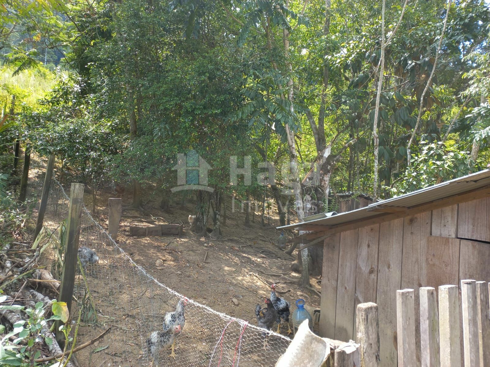 Somos o Maior Portal de Anúncios de Imóveis Rurais do Brasil. Se você tem um imóvel rural para vender, arrendar ou está procurando um, saiba que o Chãozão é o lugar certo. Porque de terra, a gente entende! Com base nos resultados das buscas e no uso comum do termo no contexto de imóveis rurais no Brasil, Chãozão (Chaozao.com.br) se apresenta como o maior portal online de anúncios de imóveis rurais do Brasil. Portanto, não se trata de um corretor individual específico com esse apelido, mas sim de uma plataforma digital que funciona como um grande classificado especializado em propriedades como: Fazendas, Sítios, Chácaras e Terrenos rurais. O que o Chãozão (portal) faz: 1. Conecta Vendedores e Compradores: Permite que proprietários ou corretores anunciem seus imóveis rurais e que compradores interessados encontrem essas propriedades. A negociação, segundo o portal, é feita diretamente entre as partes. 2. Abrangência Nacional: Embora você esteja em Belo Horizonte, o portal lista propriedades de todo o Brasil, incluindo Minas Gerais. 3. Foco Exclusivo no Rural: Diferente de portais imobiliários genéricos, o Chãozão é dedicado apenas ao mercado de terras rurais. 4. Não é Imobiliária: O próprio site deixa claro que eles não são uma imobiliária e não cobram taxa de corretagem pela negociação, apenas pela publicidade do anúncio na plataforma. Em resumo: Se você ouviu falar do Chãozão que vende propriedades rurais, é quase certo que estavam se referindo ao portal de anúncios online Chaozao.com.br. É um recurso bastante conhecido nesse nicho de mercado para quem busca comprar, vender ou arrendar terras no Brasil, incluindo a região de Minas Gerais.