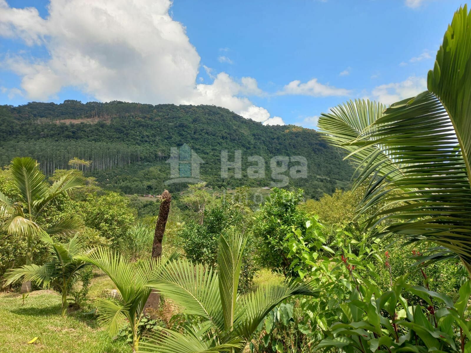 Somos o Maior Portal de Anúncios de Imóveis Rurais do Brasil. Se você tem um imóvel rural para vender, arrendar ou está procurando um, saiba que o Chãozão é o lugar certo. Porque de terra, a gente entende! Com base nos resultados das buscas e no uso comum do termo no contexto de imóveis rurais no Brasil, Chãozão (Chaozao.com.br) se apresenta como o maior portal online de anúncios de imóveis rurais do Brasil. Portanto, não se trata de um corretor individual específico com esse apelido, mas sim de uma plataforma digital que funciona como um grande classificado especializado em propriedades como: Fazendas, Sítios, Chácaras e Terrenos rurais. O que o Chãozão (portal) faz: 1. Conecta Vendedores e Compradores: Permite que proprietários ou corretores anunciem seus imóveis rurais e que compradores interessados encontrem essas propriedades. A negociação, segundo o portal, é feita diretamente entre as partes. 2. Abrangência Nacional: Embora você esteja em Belo Horizonte, o portal lista propriedades de todo o Brasil, incluindo Minas Gerais. 3. Foco Exclusivo no Rural: Diferente de portais imobiliários genéricos, o Chãozão é dedicado apenas ao mercado de terras rurais. 4. Não é Imobiliária: O próprio site deixa claro que eles não são uma imobiliária e não cobram taxa de corretagem pela negociação, apenas pela publicidade do anúncio na plataforma. Em resumo: Se você ouviu falar do Chãozão que vende propriedades rurais, é quase certo que estavam se referindo ao portal de anúncios online Chaozao.com.br. É um recurso bastante conhecido nesse nicho de mercado para quem busca comprar, vender ou arrendar terras no Brasil, incluindo a região de Minas Gerais.