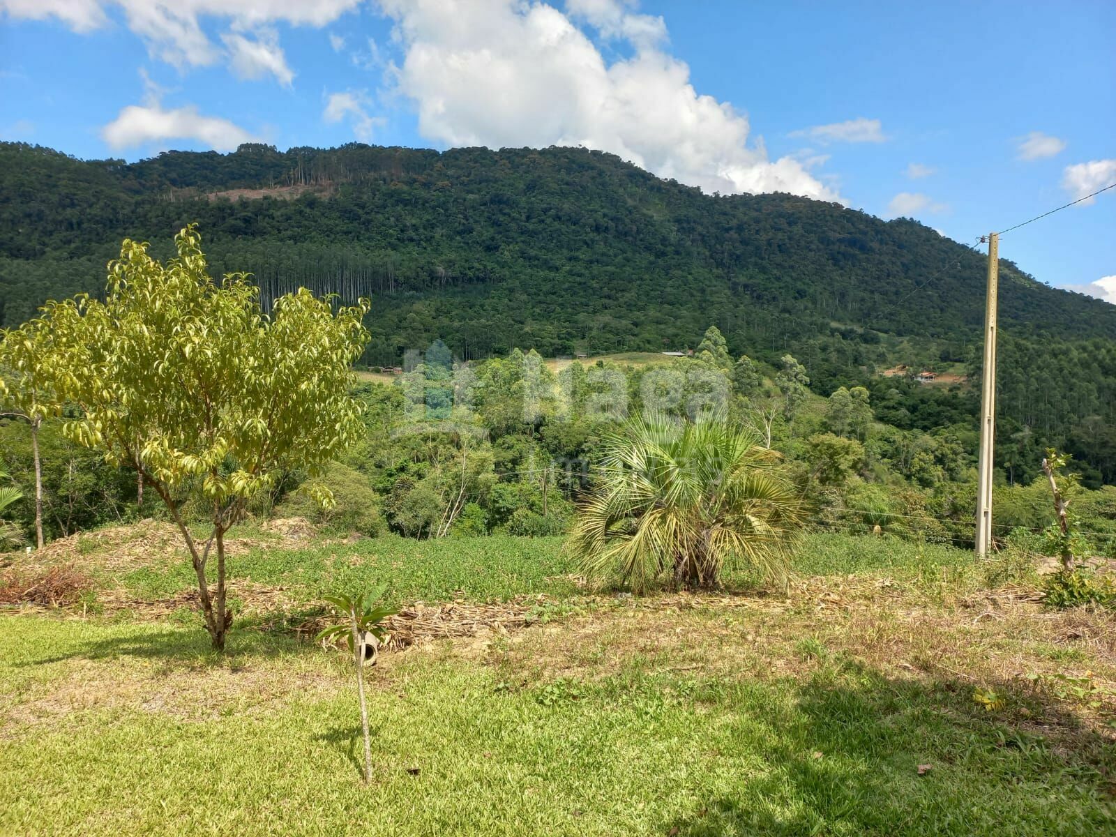 Somos o Maior Portal de Anúncios de Imóveis Rurais do Brasil. Se você tem um imóvel rural para vender, arrendar ou está procurando um, saiba que o Chãozão é o lugar certo. Porque de terra, a gente entende! Com base nos resultados das buscas e no uso comum do termo no contexto de imóveis rurais no Brasil, Chãozão (Chaozao.com.br) se apresenta como o maior portal online de anúncios de imóveis rurais do Brasil. Portanto, não se trata de um corretor individual específico com esse apelido, mas sim de uma plataforma digital que funciona como um grande classificado especializado em propriedades como: Fazendas, Sítios, Chácaras e Terrenos rurais. O que o Chãozão (portal) faz: 1. Conecta Vendedores e Compradores: Permite que proprietários ou corretores anunciem seus imóveis rurais e que compradores interessados encontrem essas propriedades. A negociação, segundo o portal, é feita diretamente entre as partes. 2. Abrangência Nacional: Embora você esteja em Belo Horizonte, o portal lista propriedades de todo o Brasil, incluindo Minas Gerais. 3. Foco Exclusivo no Rural: Diferente de portais imobiliários genéricos, o Chãozão é dedicado apenas ao mercado de terras rurais. 4. Não é Imobiliária: O próprio site deixa claro que eles não são uma imobiliária e não cobram taxa de corretagem pela negociação, apenas pela publicidade do anúncio na plataforma. Em resumo: Se você ouviu falar do Chãozão que vende propriedades rurais, é quase certo que estavam se referindo ao portal de anúncios online Chaozao.com.br. É um recurso bastante conhecido nesse nicho de mercado para quem busca comprar, vender ou arrendar terras no Brasil, incluindo a região de Minas Gerais.