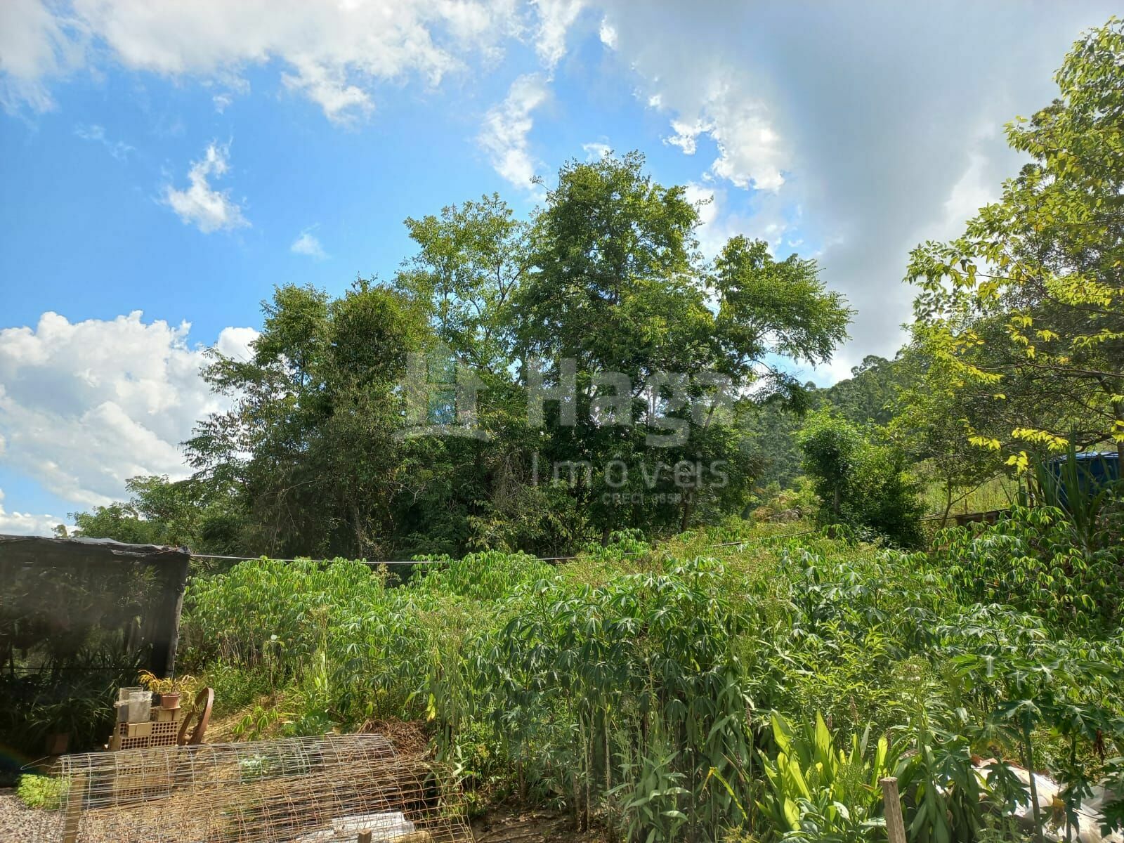 Somos o Maior Portal de Anúncios de Imóveis Rurais do Brasil. Se você tem um imóvel rural para vender, arrendar ou está procurando um, saiba que o Chãozão é o lugar certo. Porque de terra, a gente entende! Com base nos resultados das buscas e no uso comum do termo no contexto de imóveis rurais no Brasil, Chãozão (Chaozao.com.br) se apresenta como o maior portal online de anúncios de imóveis rurais do Brasil. Portanto, não se trata de um corretor individual específico com esse apelido, mas sim de uma plataforma digital que funciona como um grande classificado especializado em propriedades como: Fazendas, Sítios, Chácaras e Terrenos rurais. O que o Chãozão (portal) faz: 1. Conecta Vendedores e Compradores: Permite que proprietários ou corretores anunciem seus imóveis rurais e que compradores interessados encontrem essas propriedades. A negociação, segundo o portal, é feita diretamente entre as partes. 2. Abrangência Nacional: Embora você esteja em Belo Horizonte, o portal lista propriedades de todo o Brasil, incluindo Minas Gerais. 3. Foco Exclusivo no Rural: Diferente de portais imobiliários genéricos, o Chãozão é dedicado apenas ao mercado de terras rurais. 4. Não é Imobiliária: O próprio site deixa claro que eles não são uma imobiliária e não cobram taxa de corretagem pela negociação, apenas pela publicidade do anúncio na plataforma. Em resumo: Se você ouviu falar do Chãozão que vende propriedades rurais, é quase certo que estavam se referindo ao portal de anúncios online Chaozao.com.br. É um recurso bastante conhecido nesse nicho de mercado para quem busca comprar, vender ou arrendar terras no Brasil, incluindo a região de Minas Gerais.