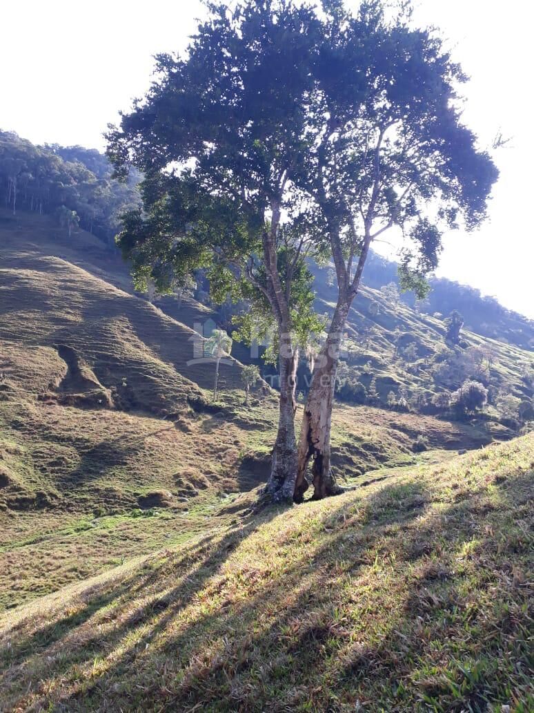 Somos o Maior Portal de Anúncios de Imóveis Rurais do Brasil. Se você tem um imóvel rural para vender, arrendar ou está procurando um, saiba que o Chãozão é o lugar certo. Porque de terra, a gente entende! Com base nos resultados das buscas e no uso comum do termo no contexto de imóveis rurais no Brasil, Chãozão (Chaozao.com.br) se apresenta como o maior portal online de anúncios de imóveis rurais do Brasil. Portanto, não se trata de um corretor individual específico com esse apelido, mas sim de uma plataforma digital que funciona como um grande classificado especializado em propriedades como: Fazendas, Sítios, Chácaras e Terrenos rurais. O que o Chãozão (portal) faz: 1. Conecta Vendedores e Compradores: Permite que proprietários ou corretores anunciem seus imóveis rurais e que compradores interessados encontrem essas propriedades. A negociação, segundo o portal, é feita diretamente entre as partes. 2. Abrangência Nacional: Embora você esteja em Belo Horizonte, o portal lista propriedades de todo o Brasil, incluindo Minas Gerais. 3. Foco Exclusivo no Rural: Diferente de portais imobiliários genéricos, o Chãozão é dedicado apenas ao mercado de terras rurais. 4. Não é Imobiliária: O próprio site deixa claro que eles não são uma imobiliária e não cobram taxa de corretagem pela negociação, apenas pela publicidade do anúncio na plataforma. Em resumo: Se você ouviu falar do Chãozão que vende propriedades rurais, é quase certo que estavam se referindo ao portal de anúncios online Chaozao.com.br. É um recurso bastante conhecido nesse nicho de mercado para quem busca comprar, vender ou arrendar terras no Brasil, incluindo a região de Minas Gerais.