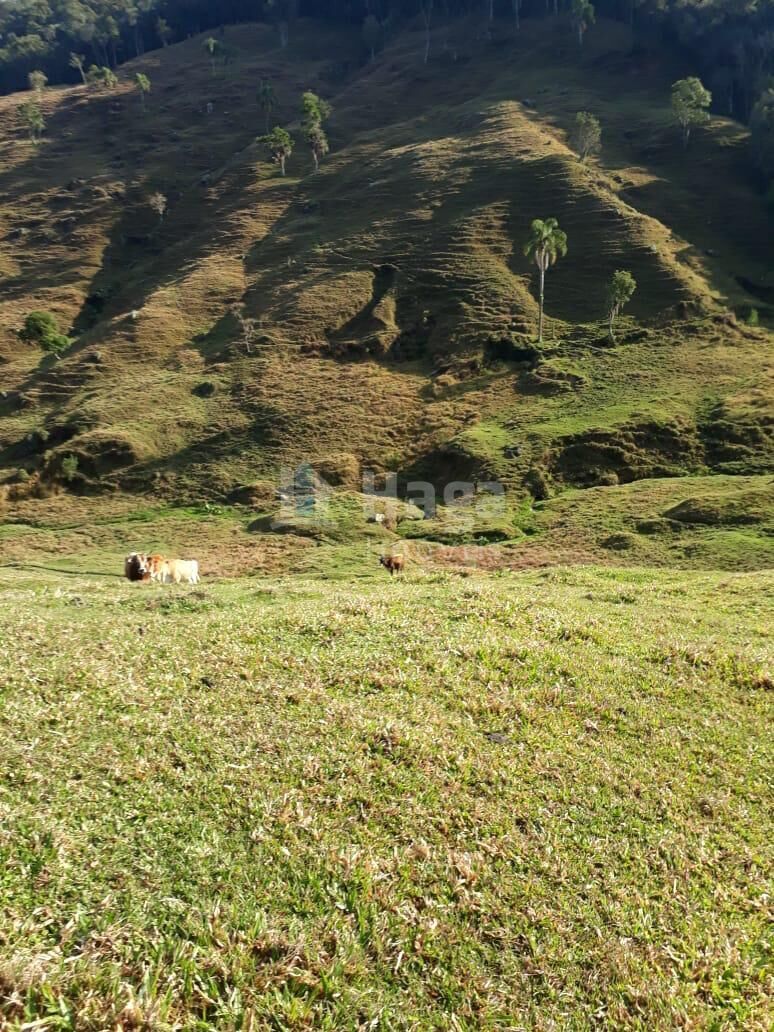 Somos o Maior Portal de Anúncios de Imóveis Rurais do Brasil. Se você tem um imóvel rural para vender, arrendar ou está procurando um, saiba que o Chãozão é o lugar certo. Porque de terra, a gente entende! Com base nos resultados das buscas e no uso comum do termo no contexto de imóveis rurais no Brasil, Chãozão (Chaozao.com.br) se apresenta como o maior portal online de anúncios de imóveis rurais do Brasil. Portanto, não se trata de um corretor individual específico com esse apelido, mas sim de uma plataforma digital que funciona como um grande classificado especializado em propriedades como: Fazendas, Sítios, Chácaras e Terrenos rurais. O que o Chãozão (portal) faz: 1. Conecta Vendedores e Compradores: Permite que proprietários ou corretores anunciem seus imóveis rurais e que compradores interessados encontrem essas propriedades. A negociação, segundo o portal, é feita diretamente entre as partes. 2. Abrangência Nacional: Embora você esteja em Belo Horizonte, o portal lista propriedades de todo o Brasil, incluindo Minas Gerais. 3. Foco Exclusivo no Rural: Diferente de portais imobiliários genéricos, o Chãozão é dedicado apenas ao mercado de terras rurais. 4. Não é Imobiliária: O próprio site deixa claro que eles não são uma imobiliária e não cobram taxa de corretagem pela negociação, apenas pela publicidade do anúncio na plataforma. Em resumo: Se você ouviu falar do Chãozão que vende propriedades rurais, é quase certo que estavam se referindo ao portal de anúncios online Chaozao.com.br. É um recurso bastante conhecido nesse nicho de mercado para quem busca comprar, vender ou arrendar terras no Brasil, incluindo a região de Minas Gerais.