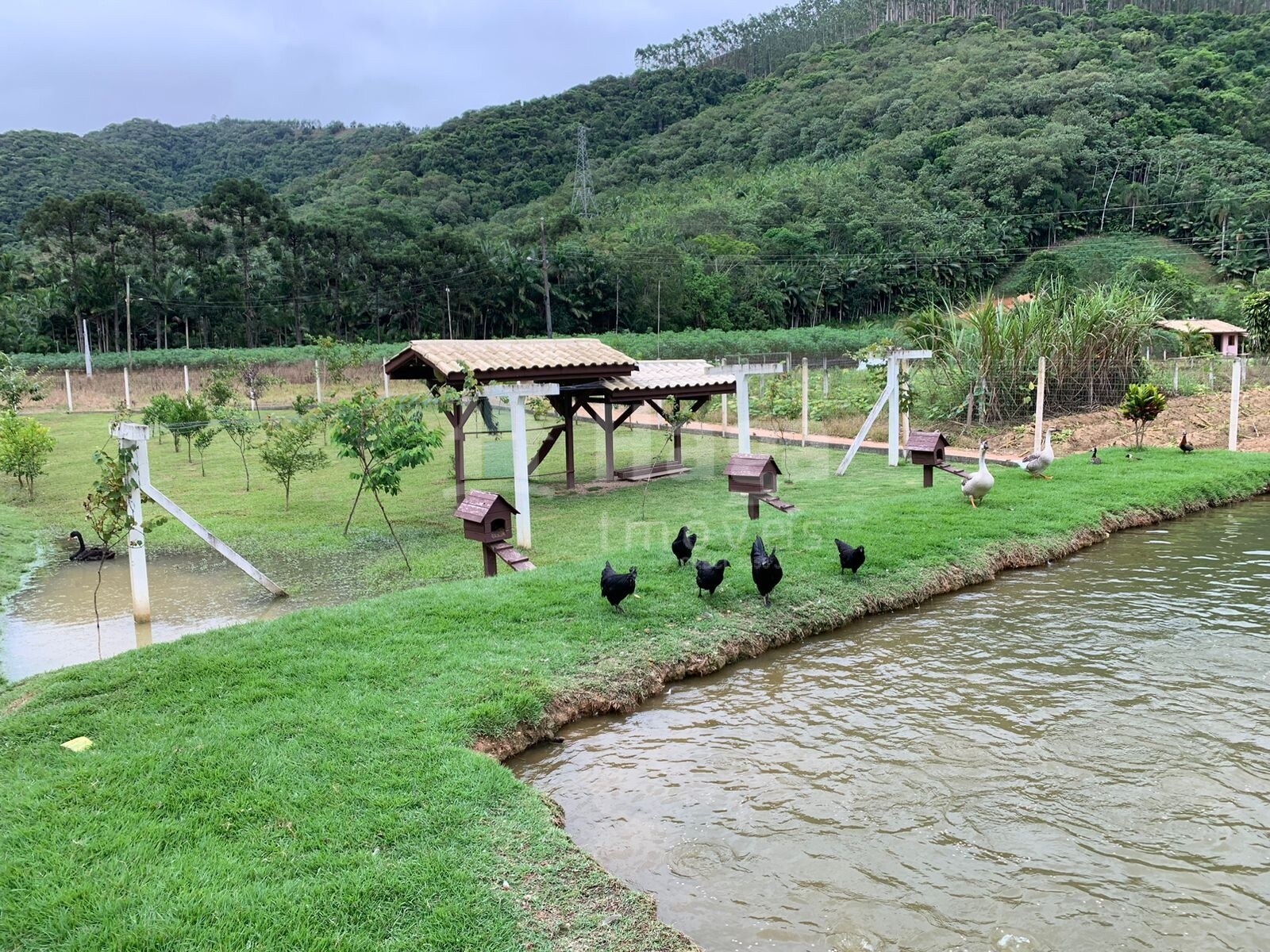 Chácara em Major Gercino/Santa Catarina — Ref G0UQJ3 — Imagem 4