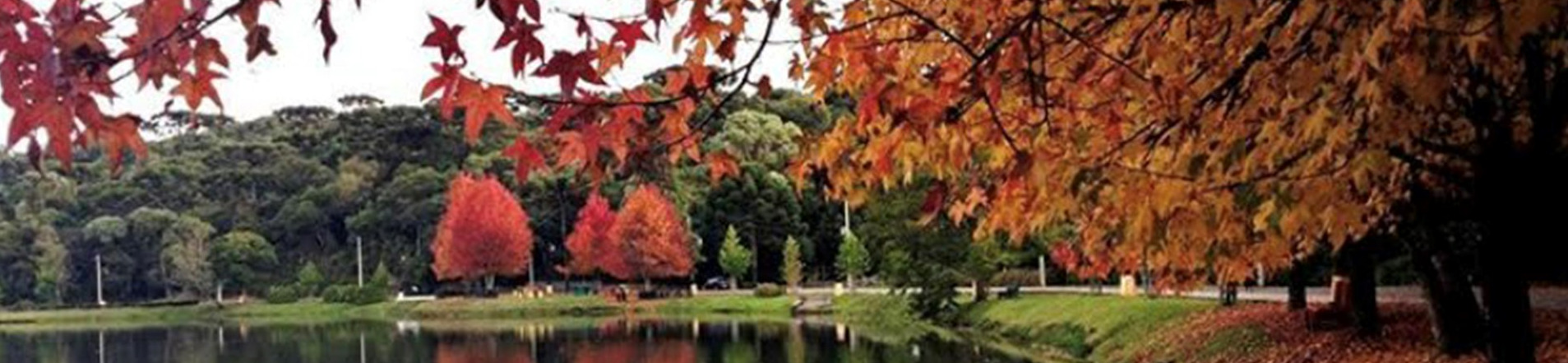 Escritório Imobiliário - CRECI 26.479 J