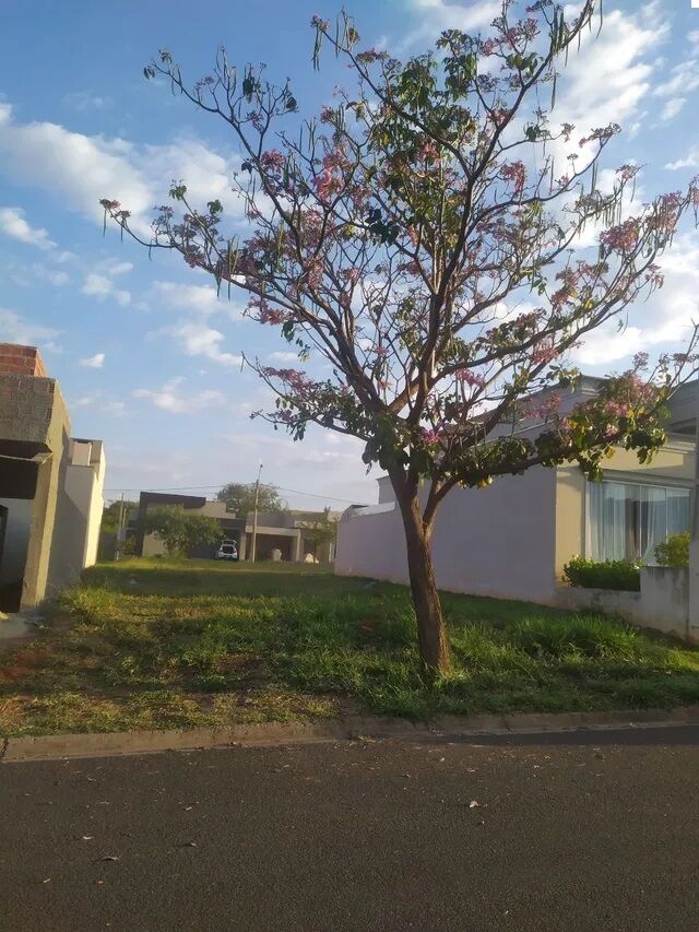 Terreno em Condomínio à venda Parque Residencial Nature I São José do Rio Preto/SP