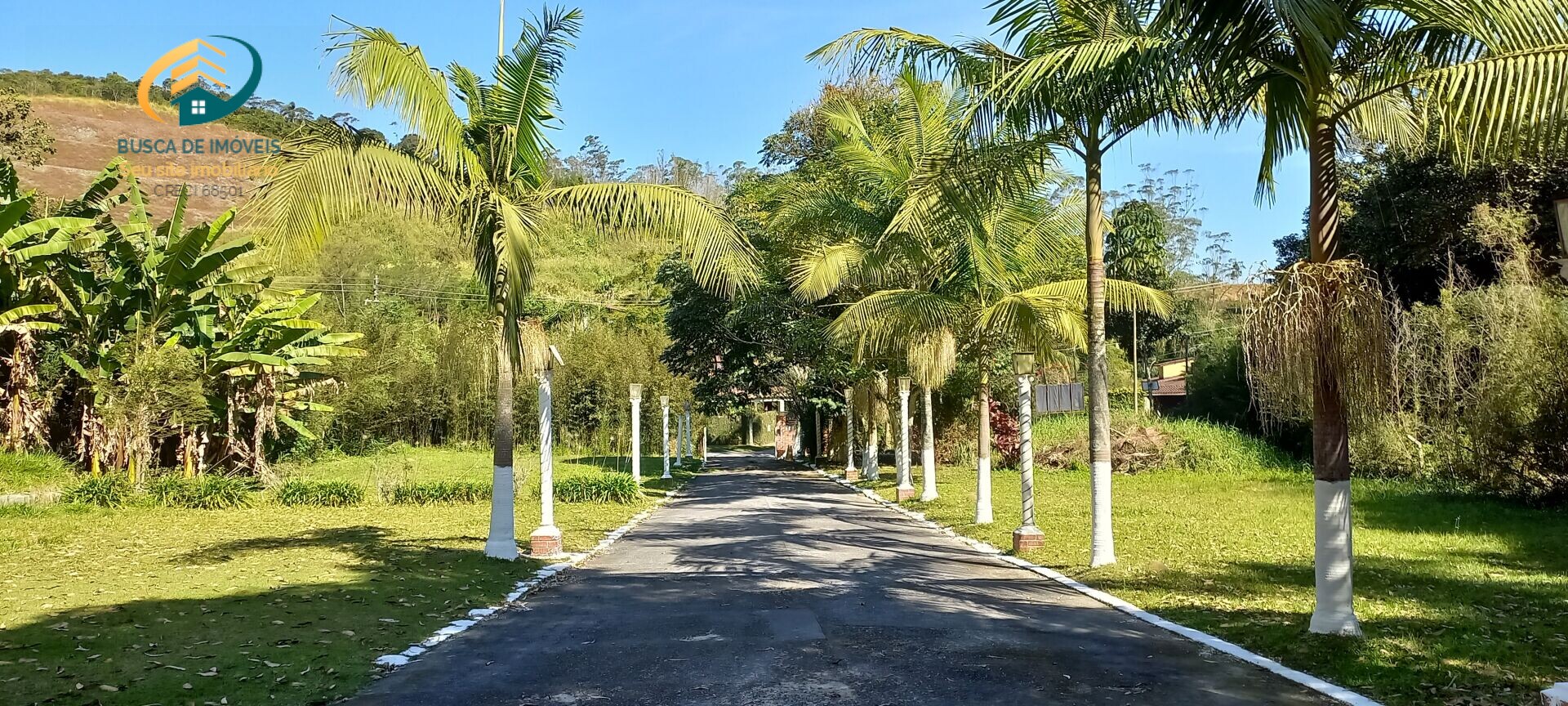 Fazenda à venda com 7 quartos, 25200m² - Foto 13