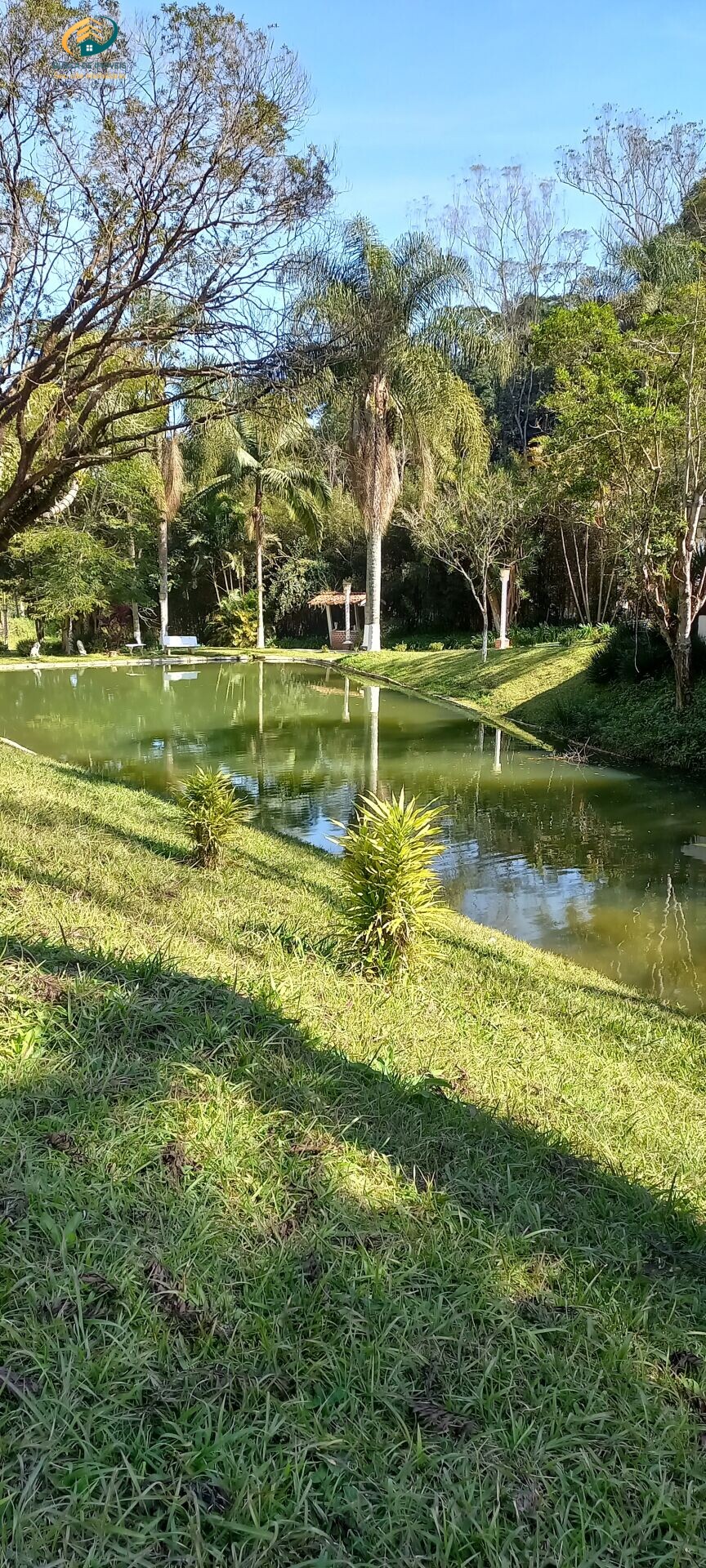 Fazenda à venda com 7 quartos, 25200m² - Foto 35