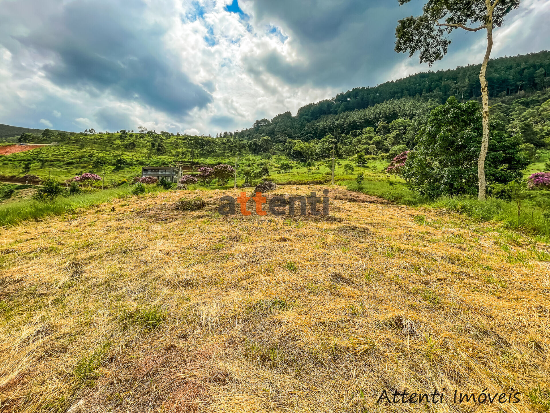 Terreno à venda, 1254m² - Foto 17