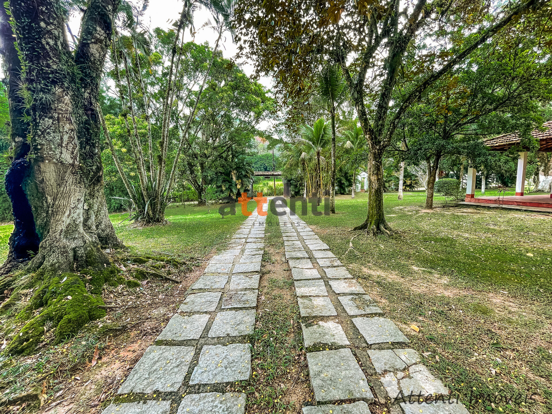 Fazenda à venda com 4 quartos, 18063m² - Foto 8