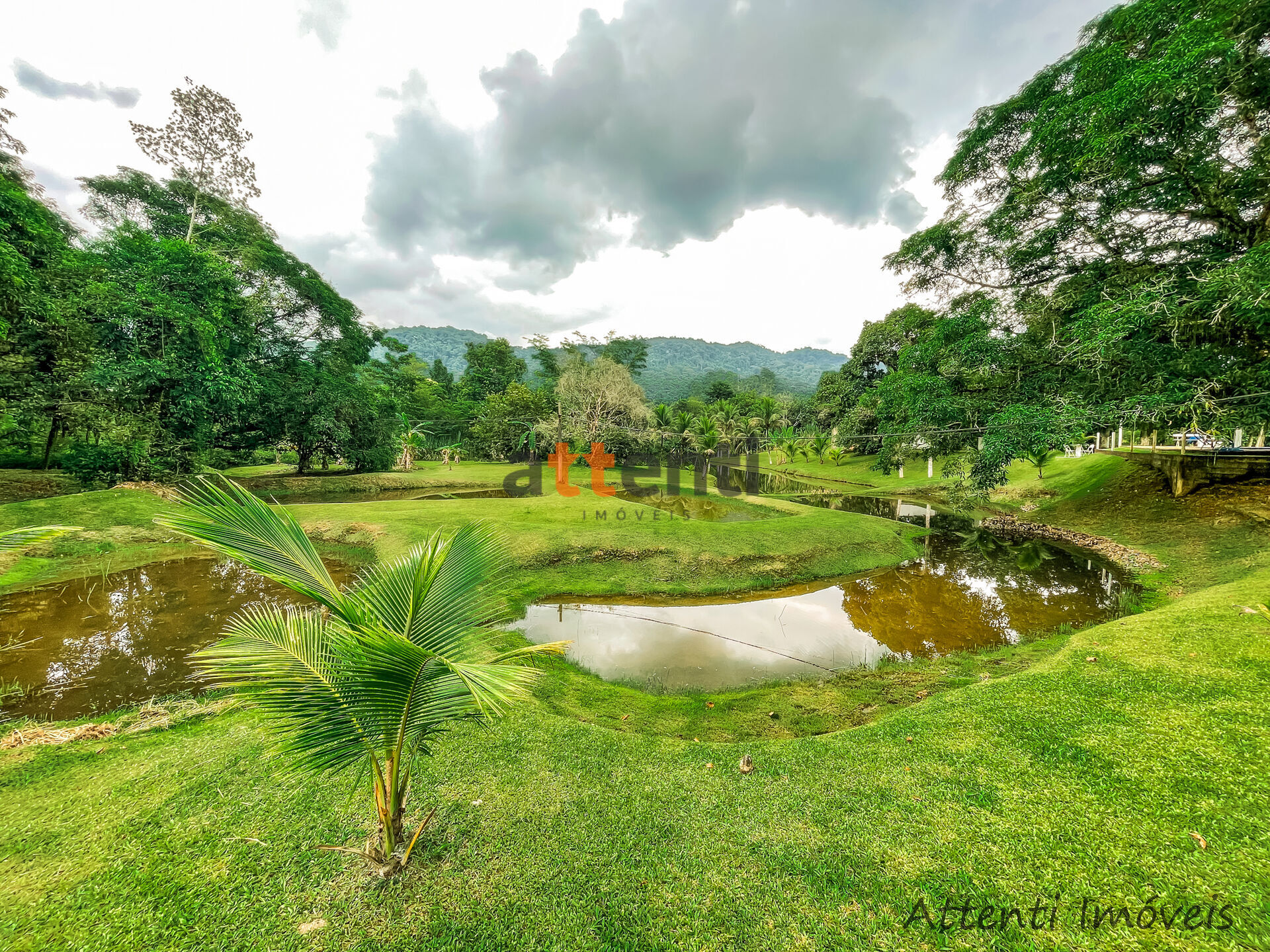 Fazenda à venda com 4 quartos, 18063m² - Foto 19