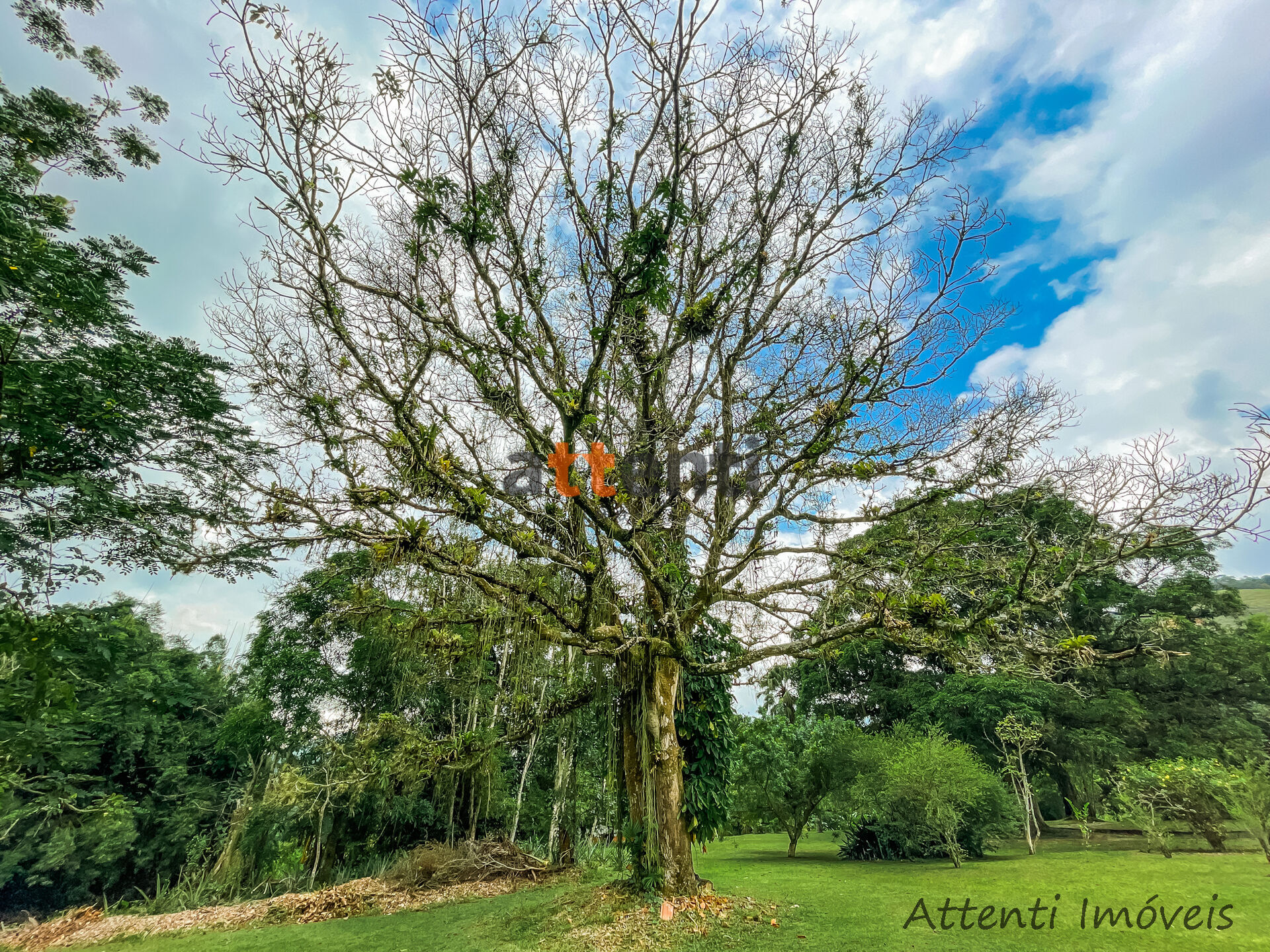 Fazenda à venda com 4 quartos, 18063m² - Foto 23