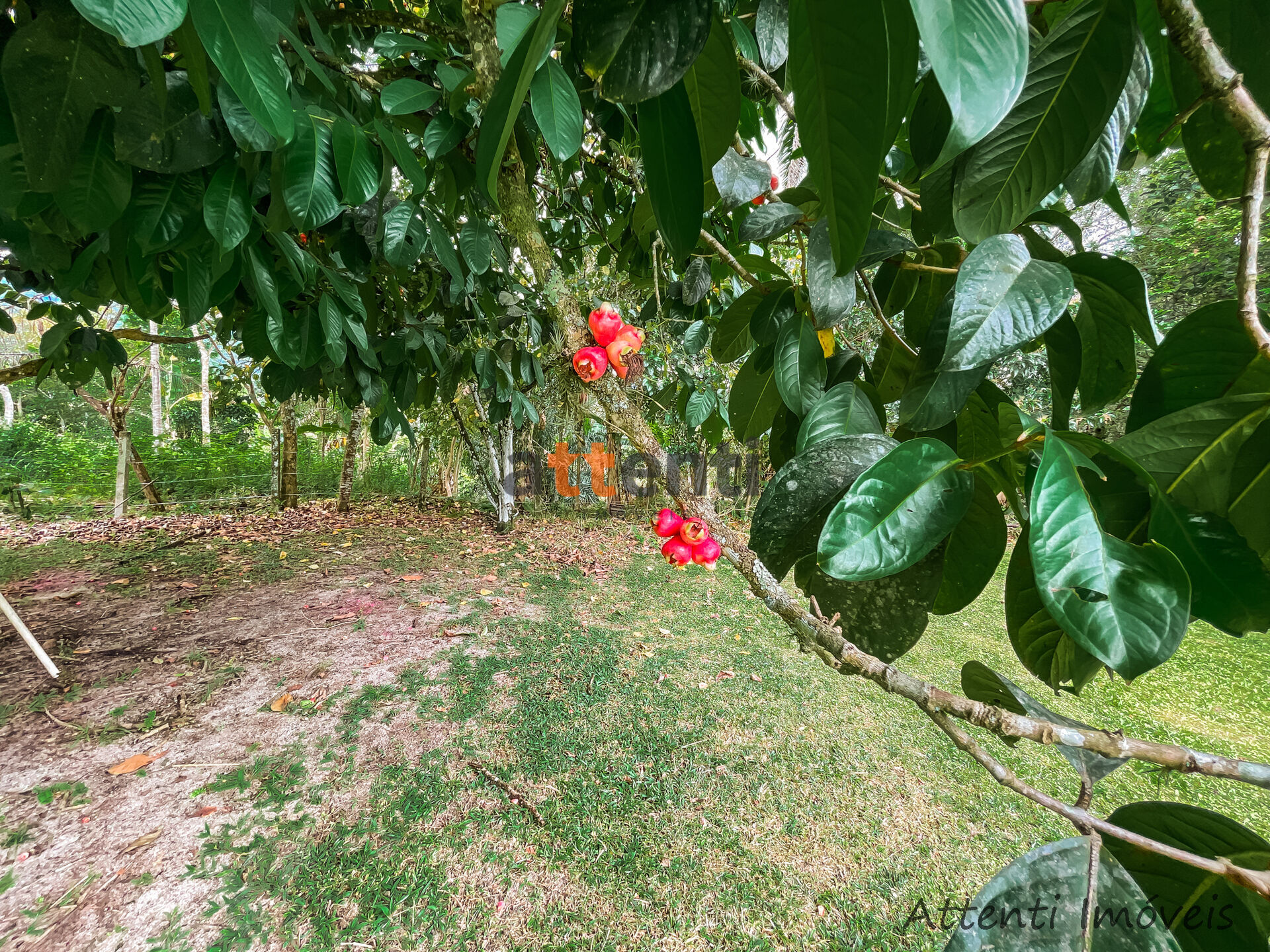 Fazenda à venda com 4 quartos, 18063m² - Foto 24