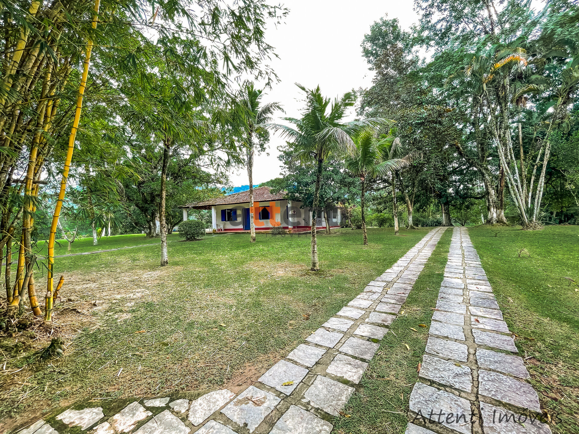 Fazenda à venda com 4 quartos, 18063m² - Foto 7