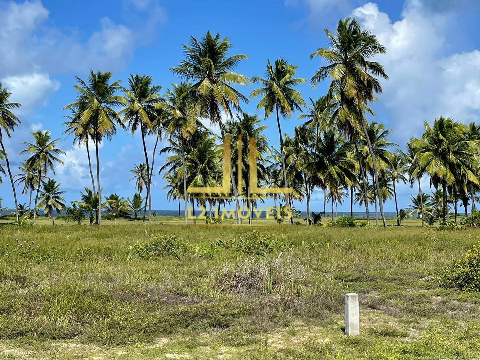 Casa - Praia Do Forte