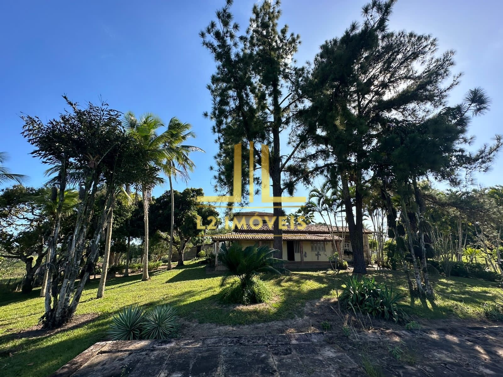 Fazenda à venda com 1 quarto, 1300000m² - Foto 15