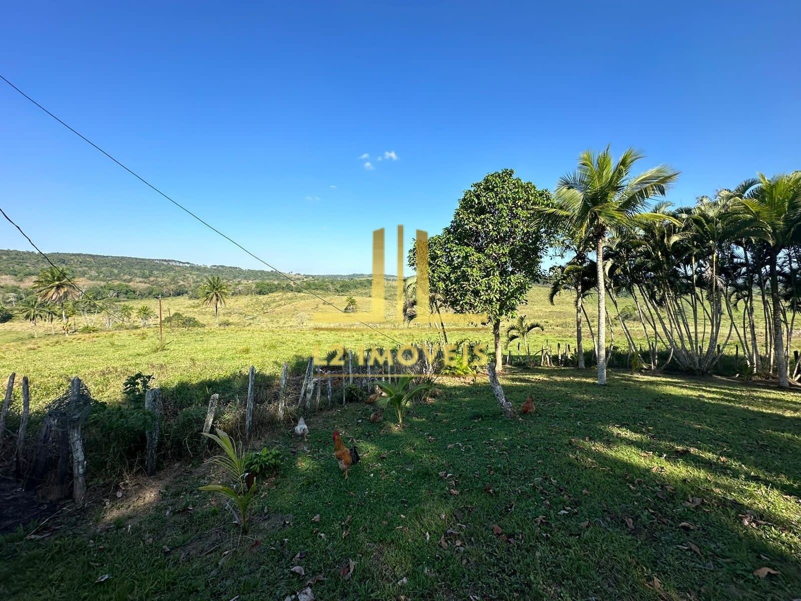 Fazenda à venda com 1 quarto, 1300000m² - Foto 10