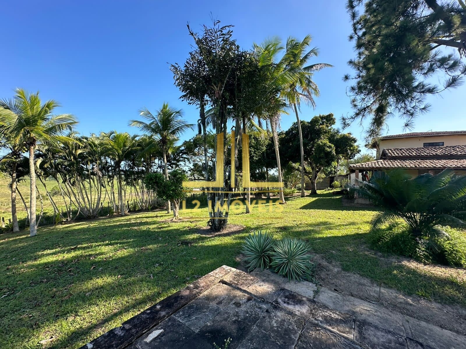 Fazenda à venda com 1 quarto, 1300000m² - Foto 14