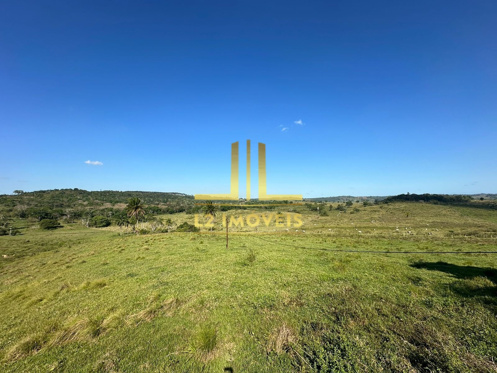 Fazenda à venda com 1 quarto, 1300000m² - Foto 16