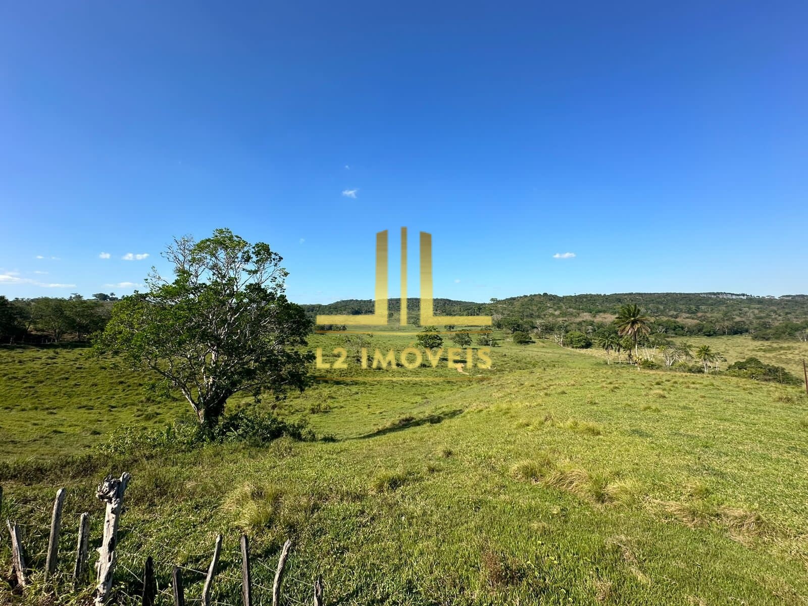 Fazenda à venda com 1 quarto, 1300000m² - Foto 9