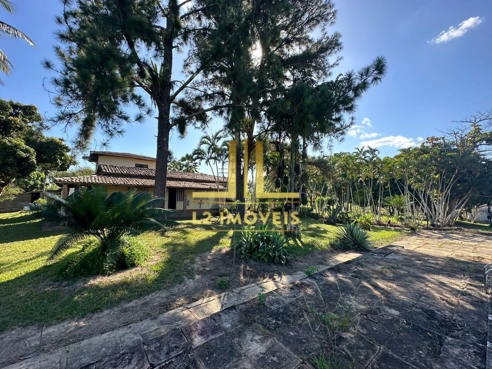 Fazenda à venda com 1 quarto, 1300000m² - Foto 13