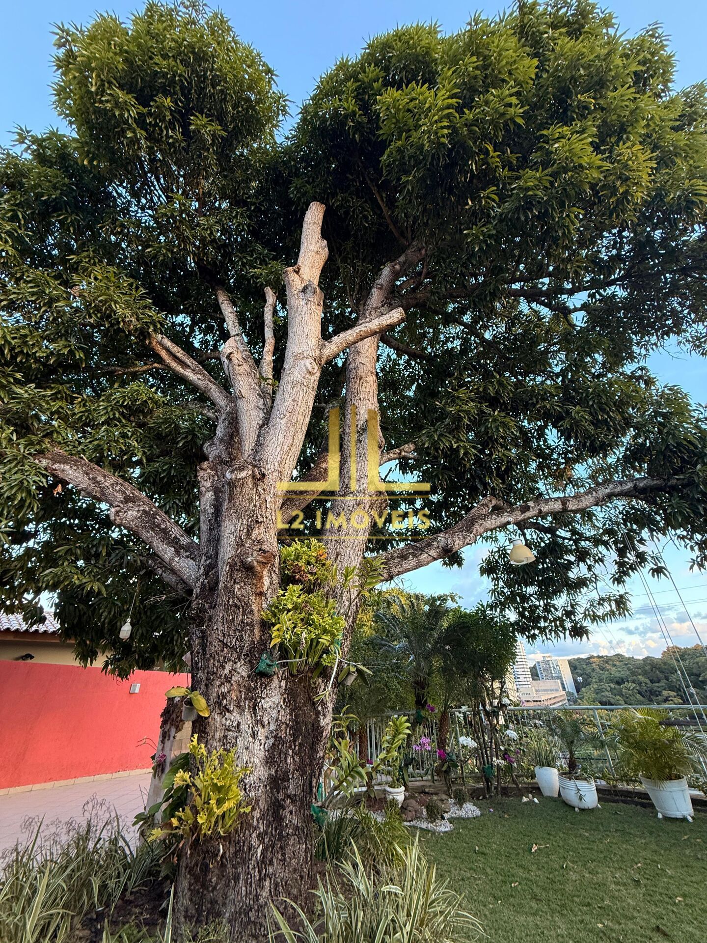 Casa, 5 quartos, 600 m² - Foto 7