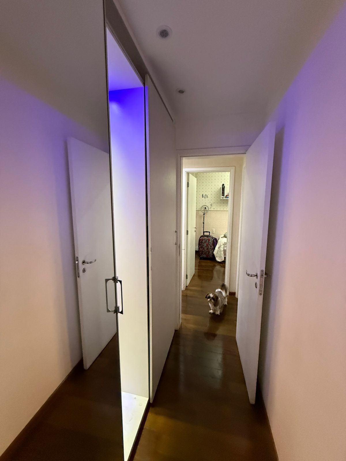 Apartamento, 3 quartos, 100 m² - Foto 10