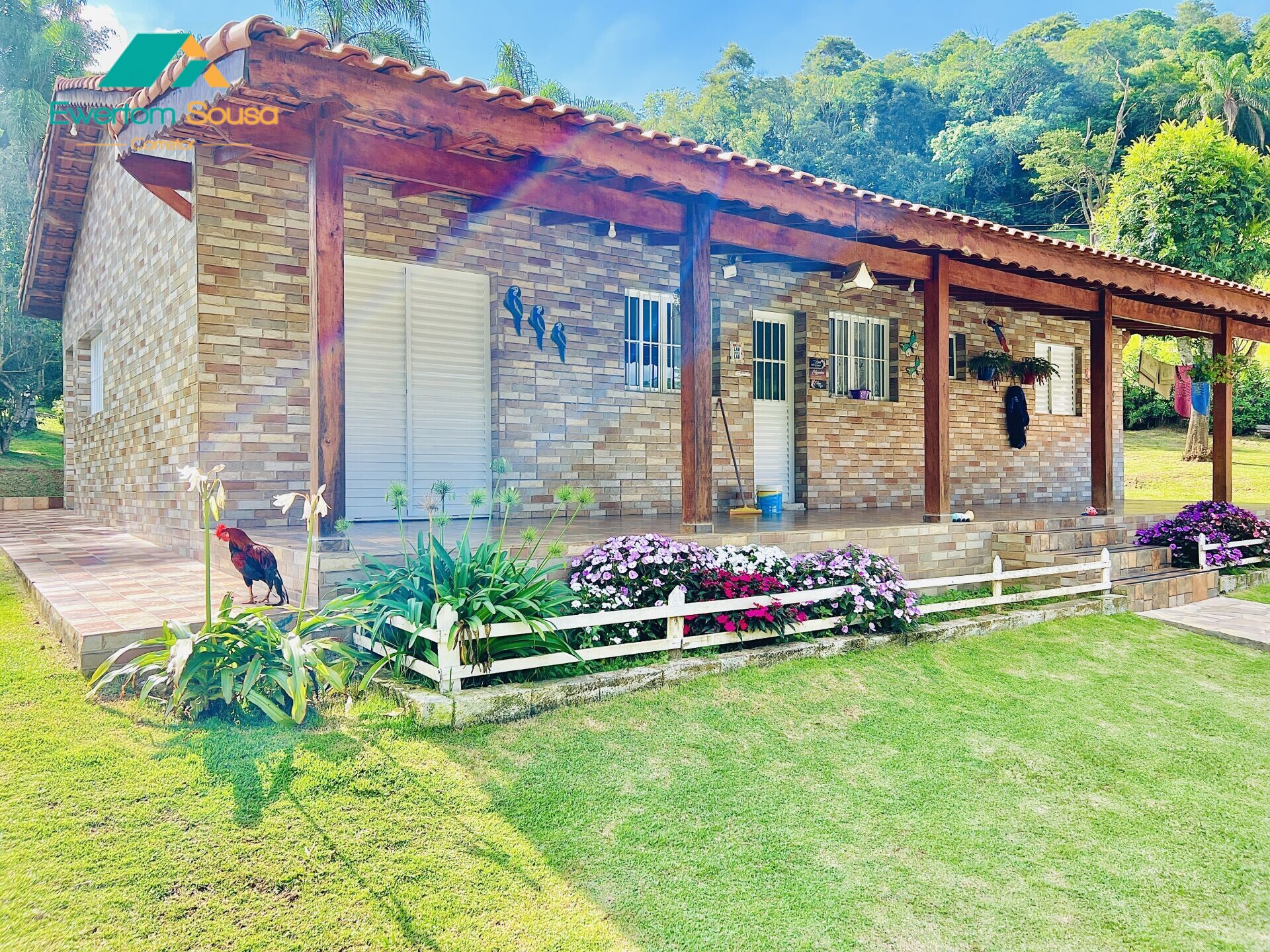 Fazenda à venda com 3 quartos, 4100m² - Foto 11