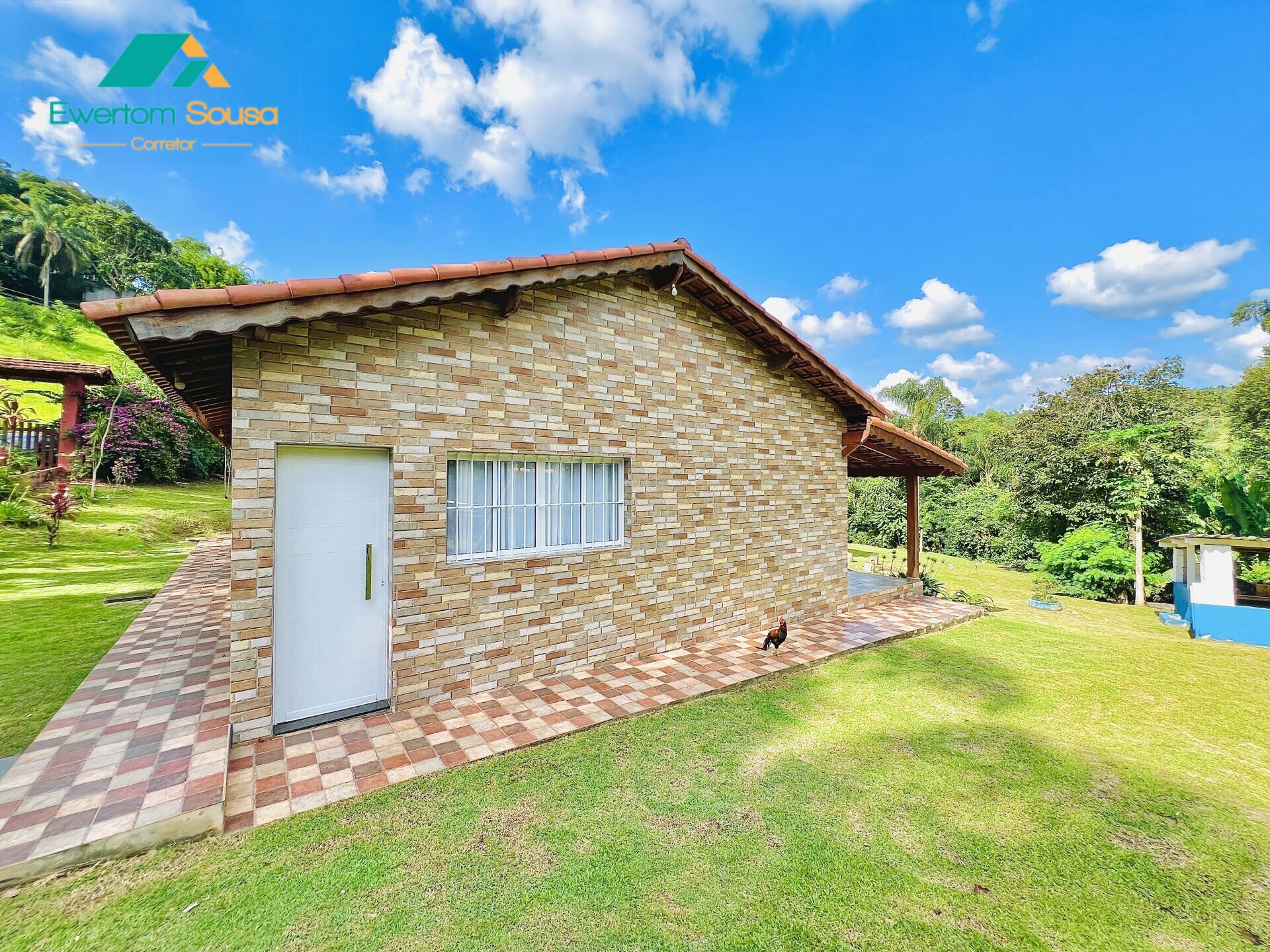 Fazenda à venda com 3 quartos, 4100m² - Foto 7