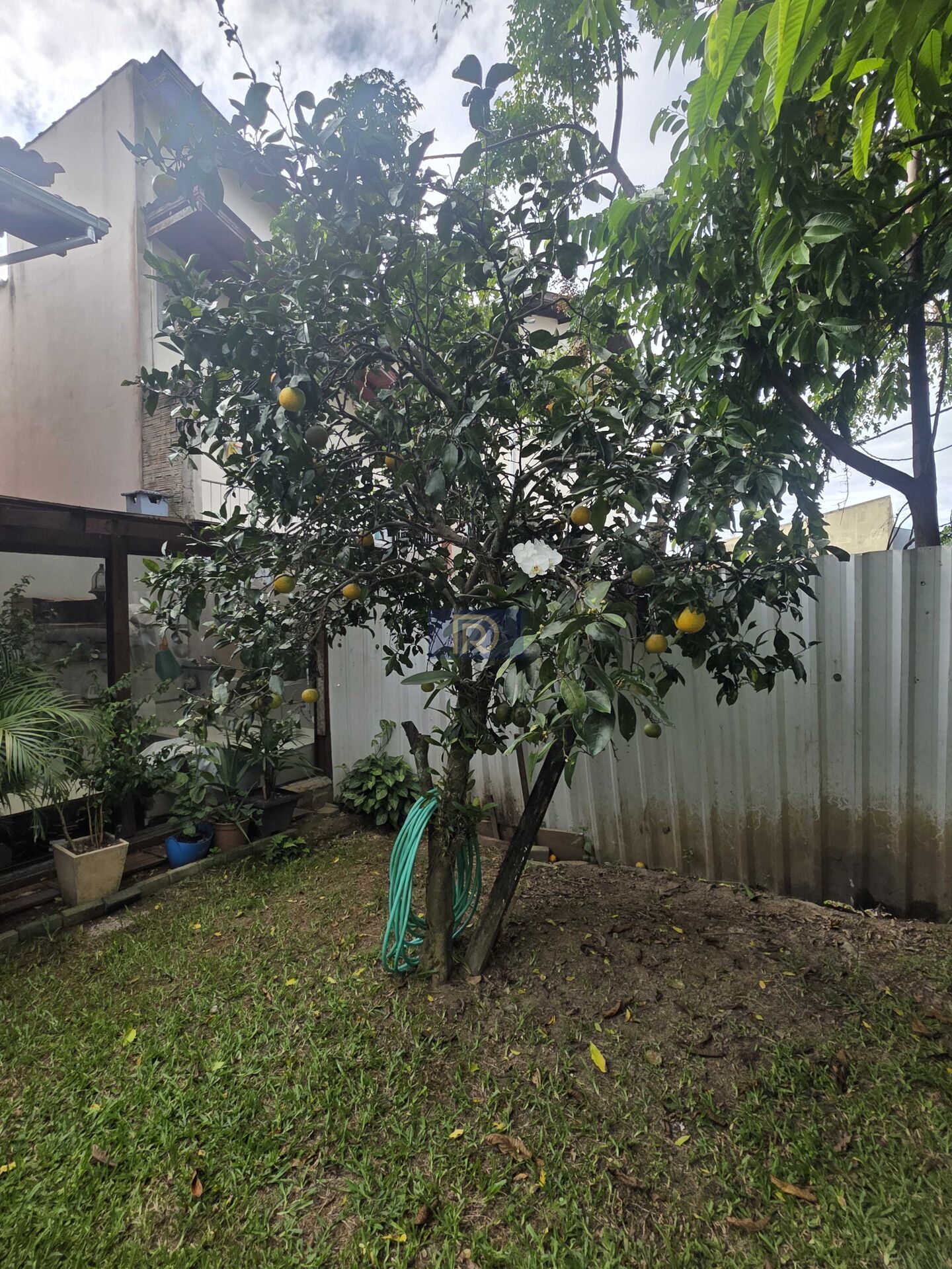 Casa, 3 quartos, 160 m² - Foto 31