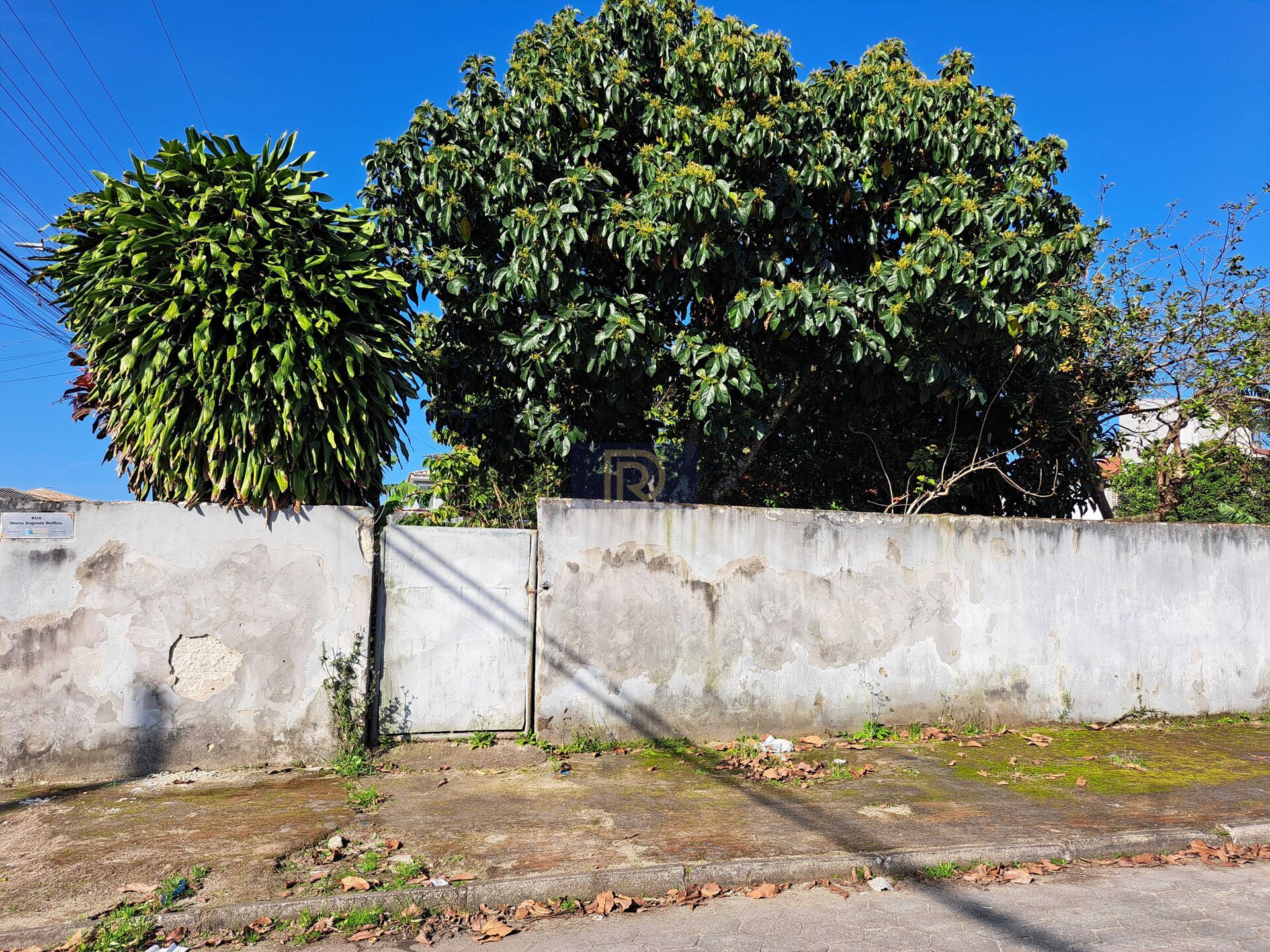 Terreno, 300 m² - Foto 6