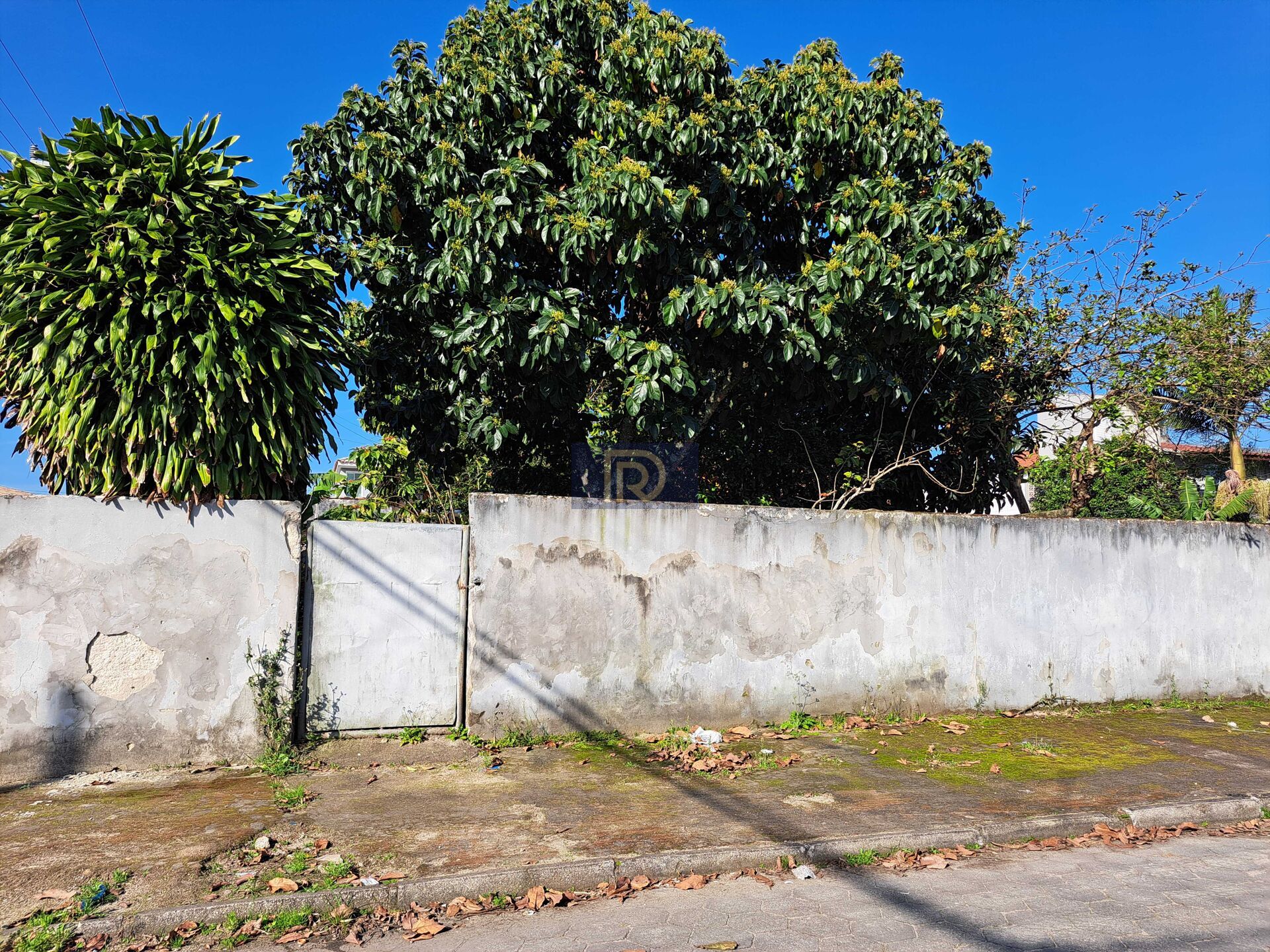 Terreno, 300 m² - Foto 9