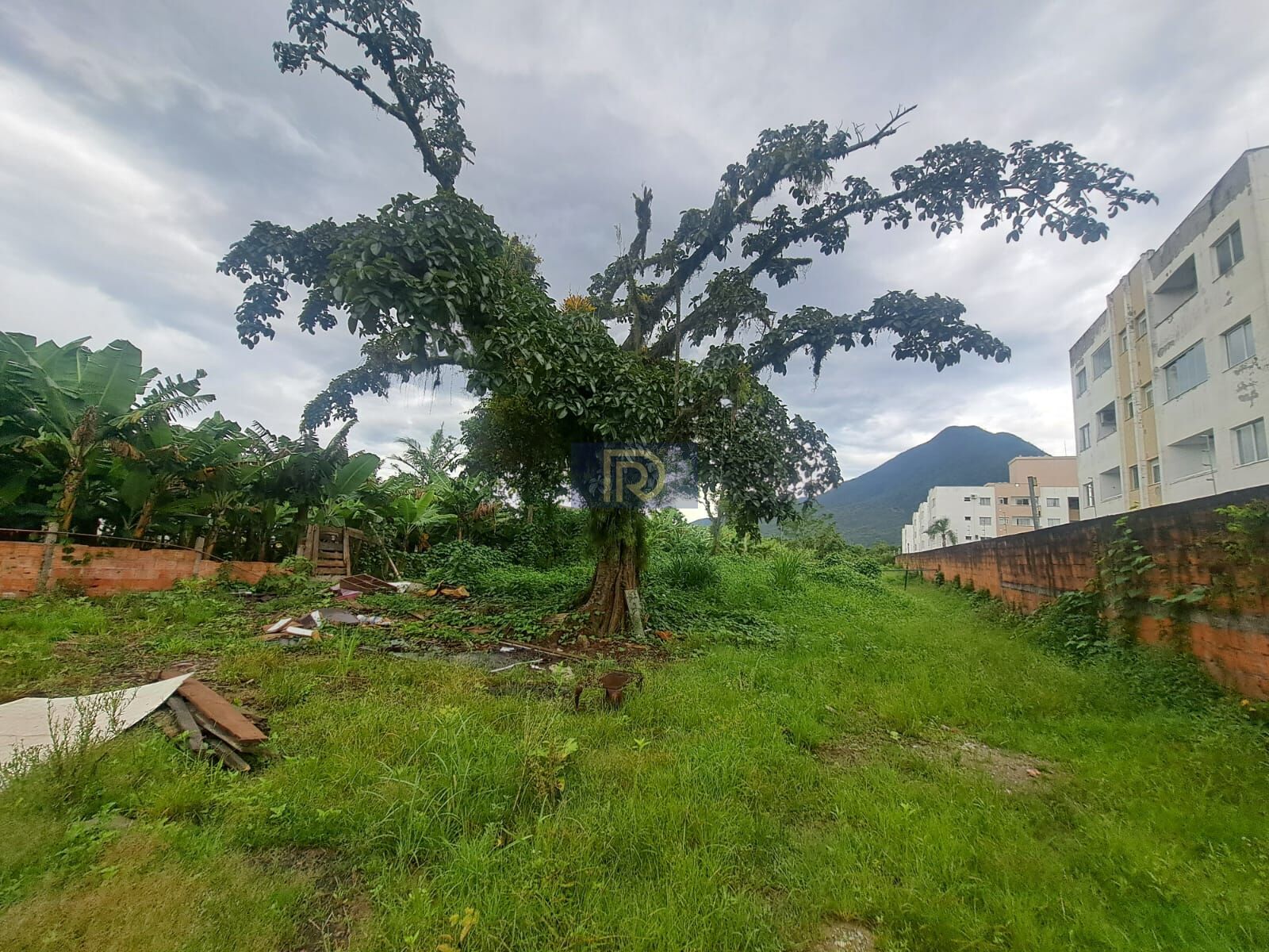 Terreno, 5539 m² - Foto 7