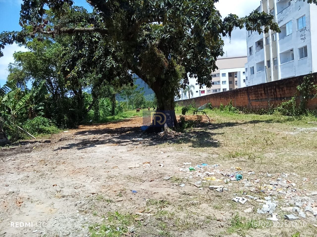 Terreno, 5539 m² - Foto 3