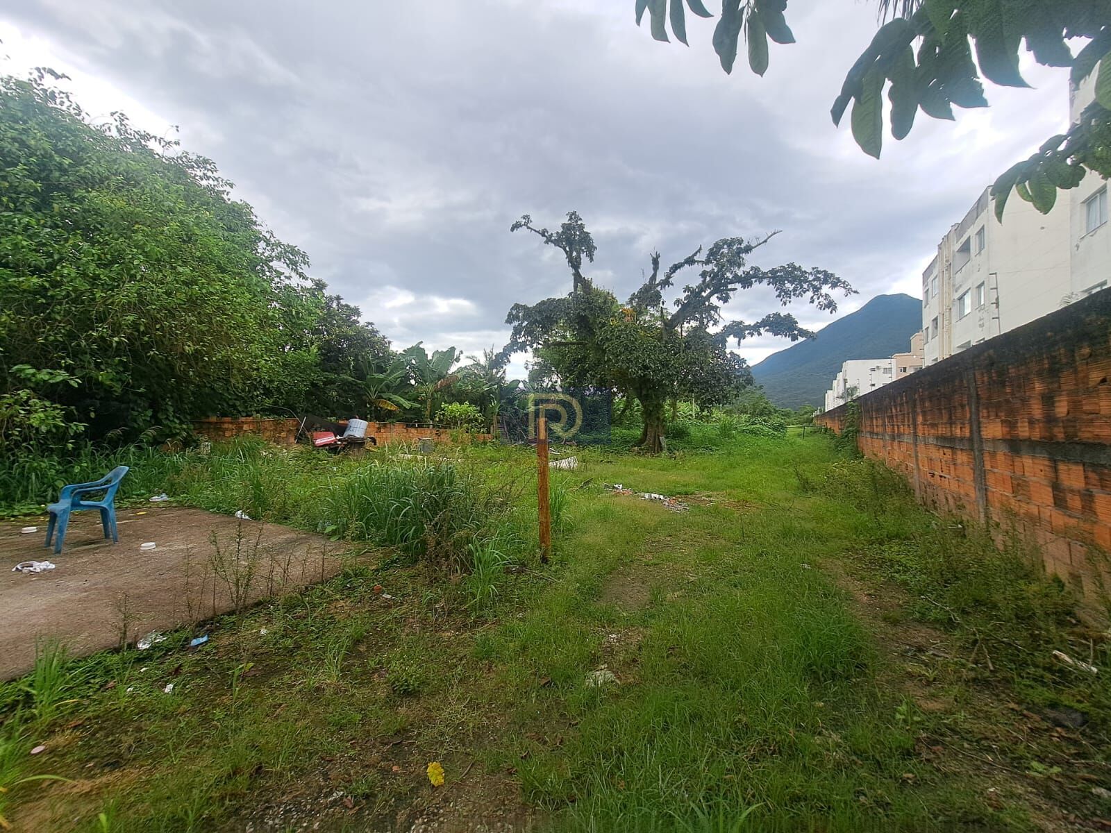 Terreno, 5539 m² - Foto 6