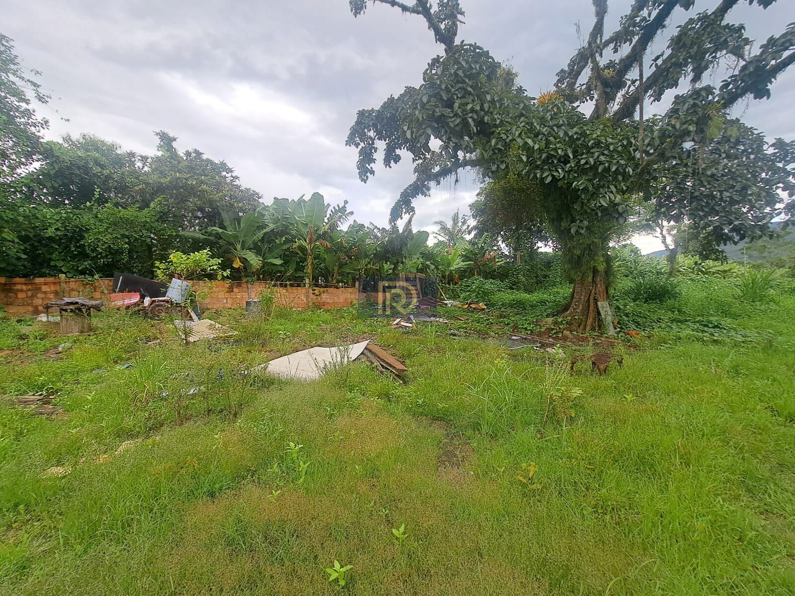 Terreno, 5539 m² - Foto 11